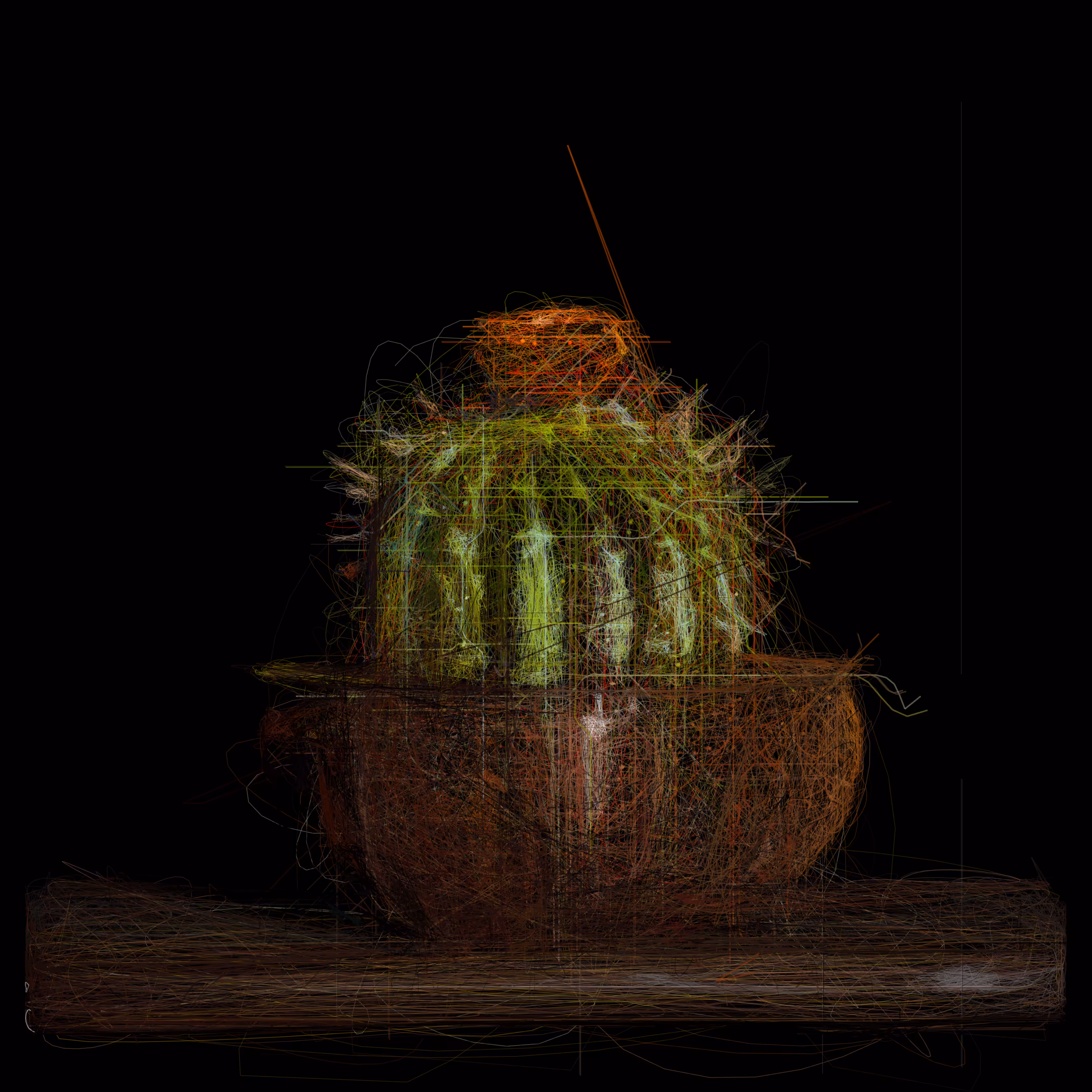 Cactus I
