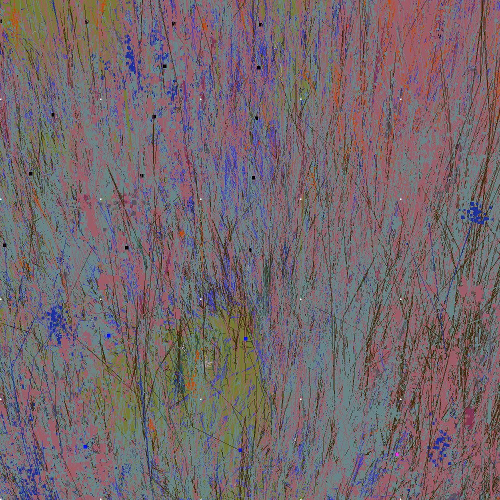 Infinite Garden: 579641 Flowers
