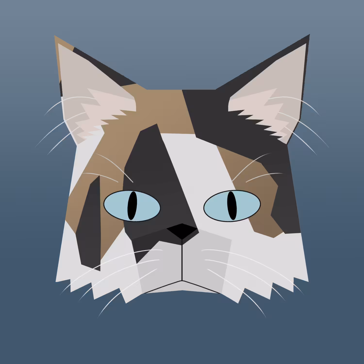 kitty #10 - american bobtail