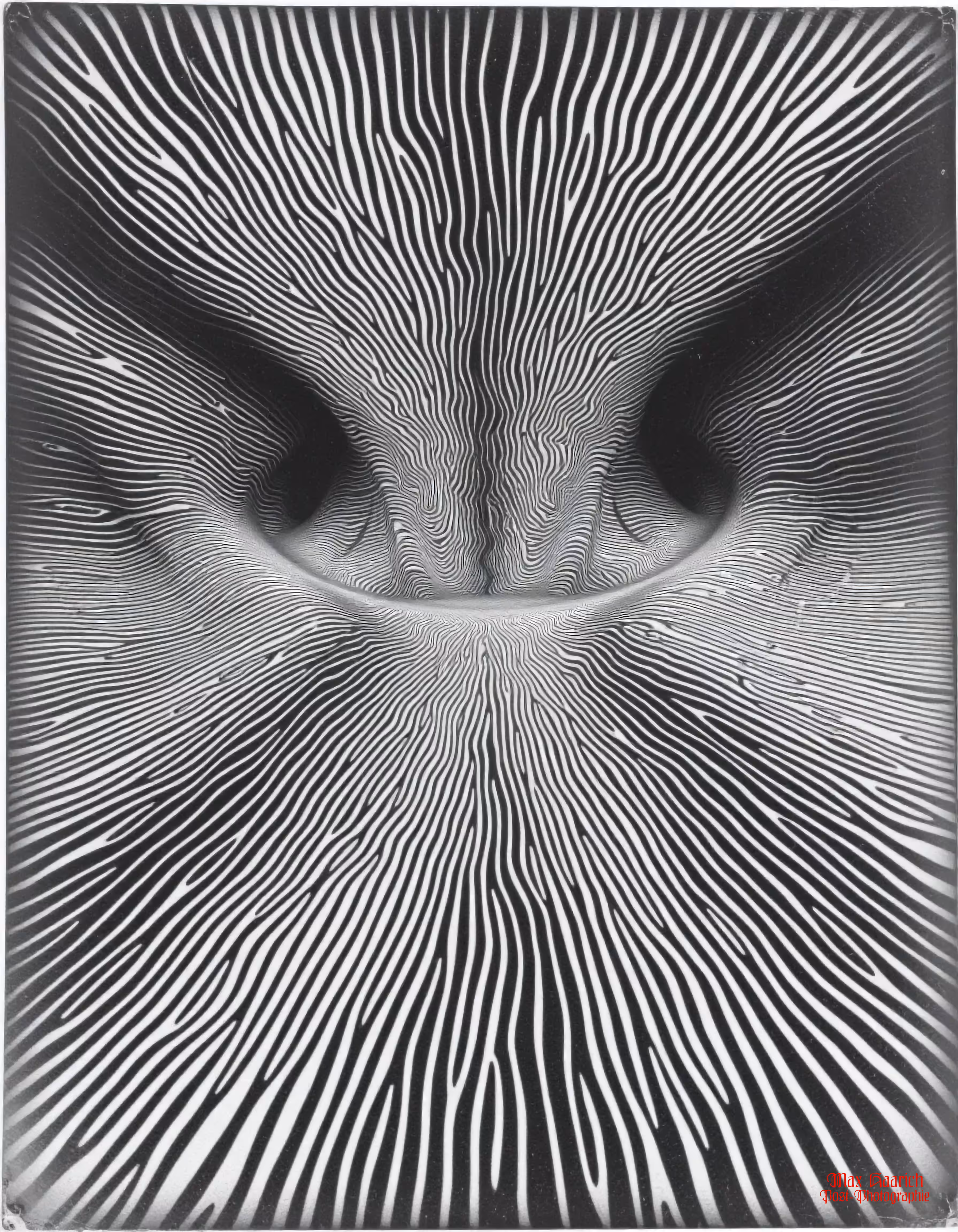 Distraction 03