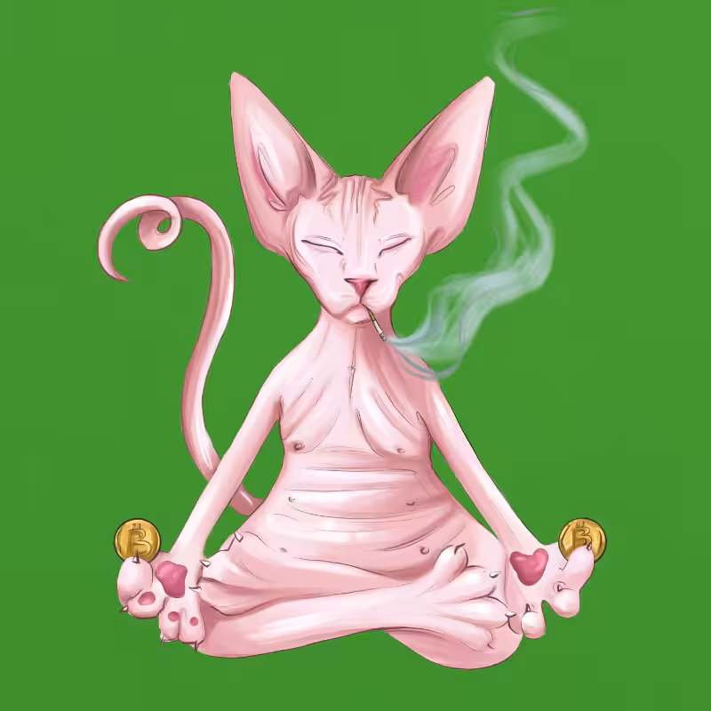 YogaCat #9