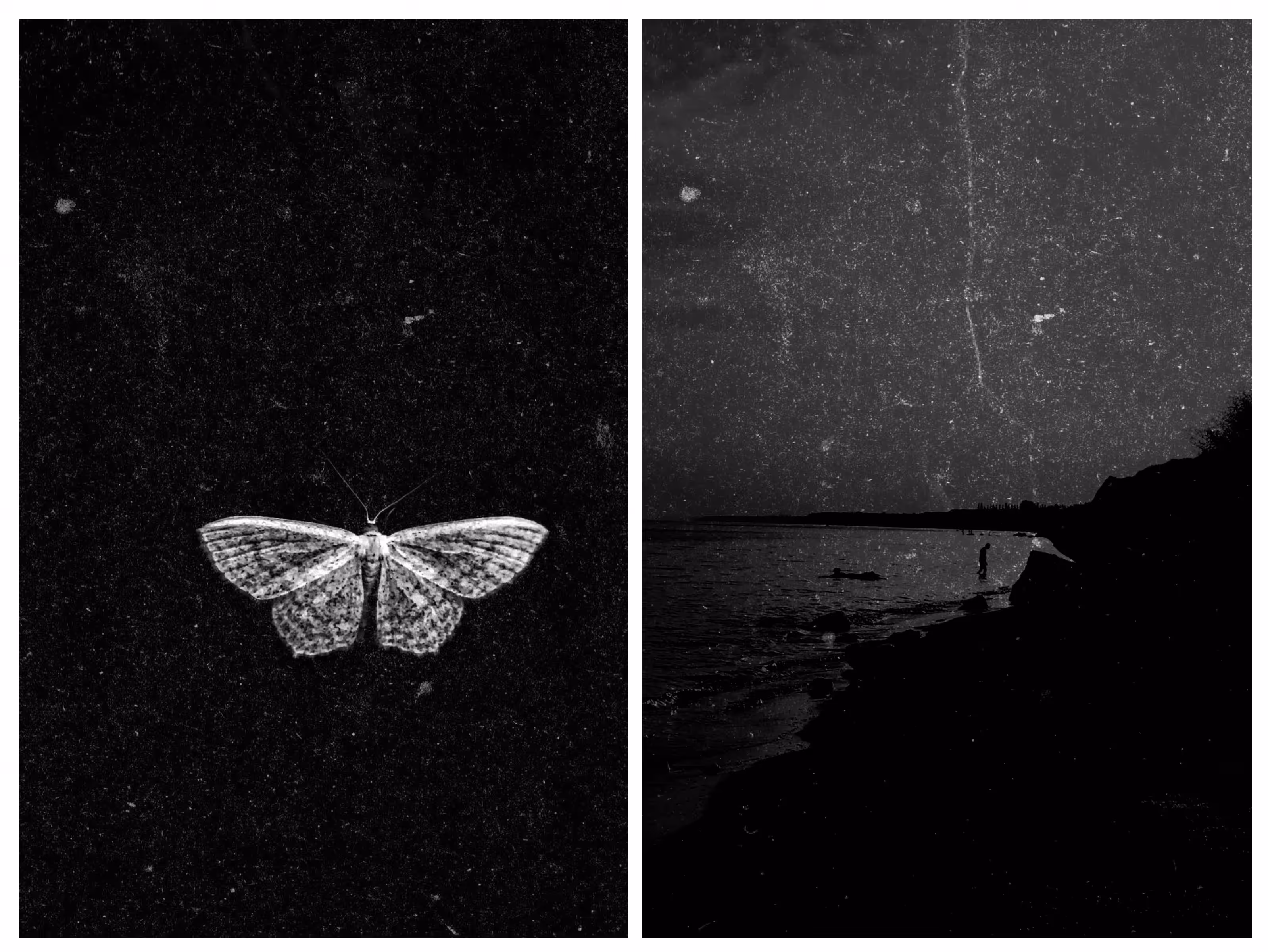 genetic memory: reaching back to the star