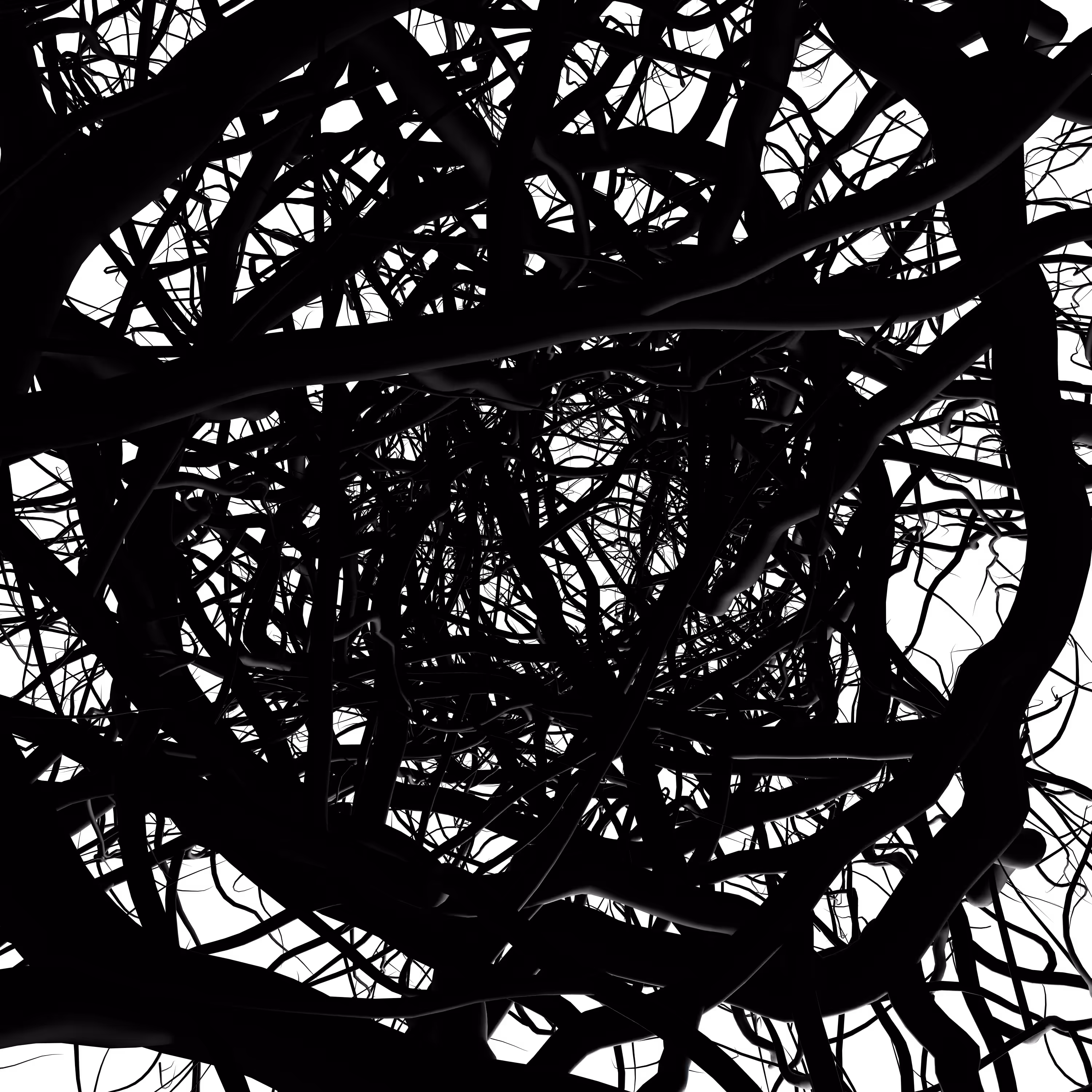 Thicket