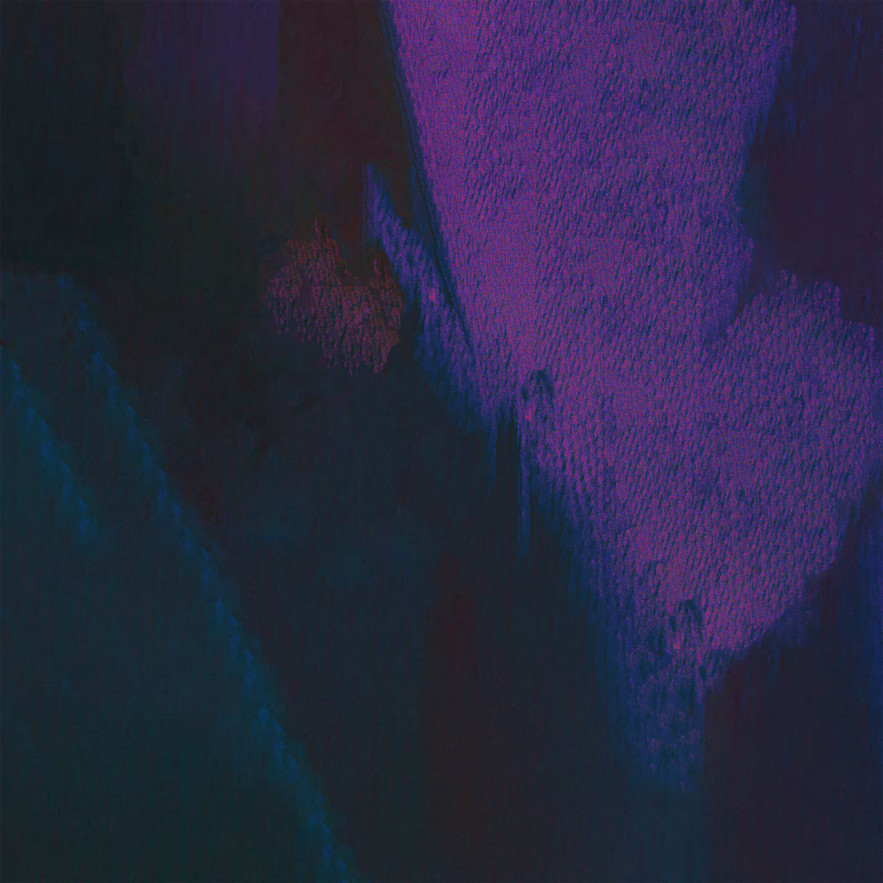 Euphoria XXV