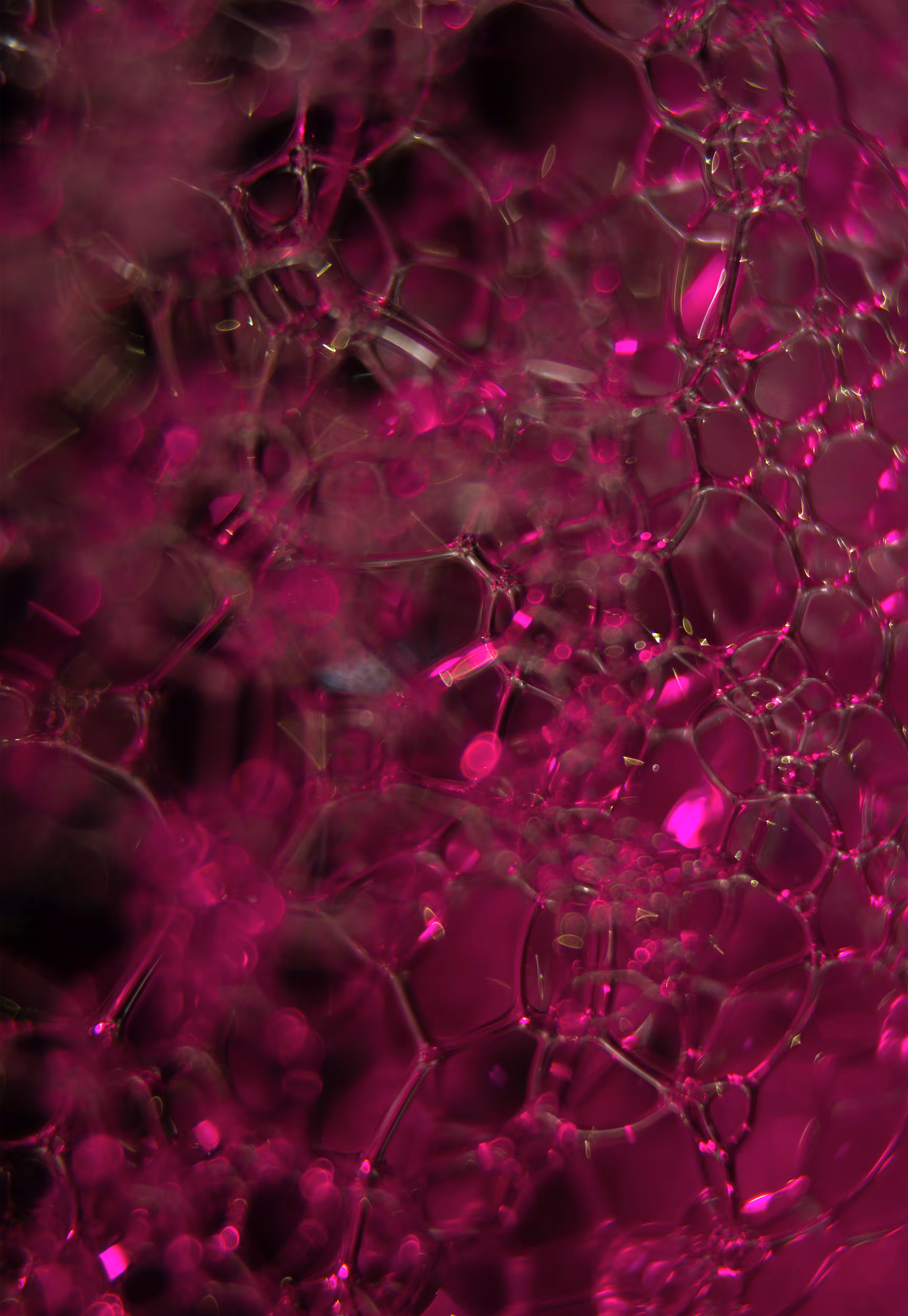 Abstract World of Soap Bubbles: #181 Bubbles