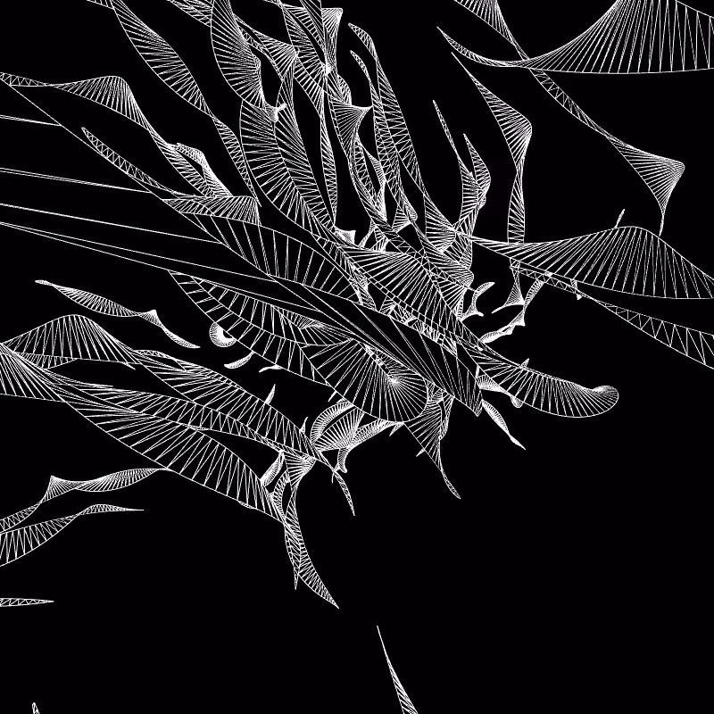 Paths of life #11