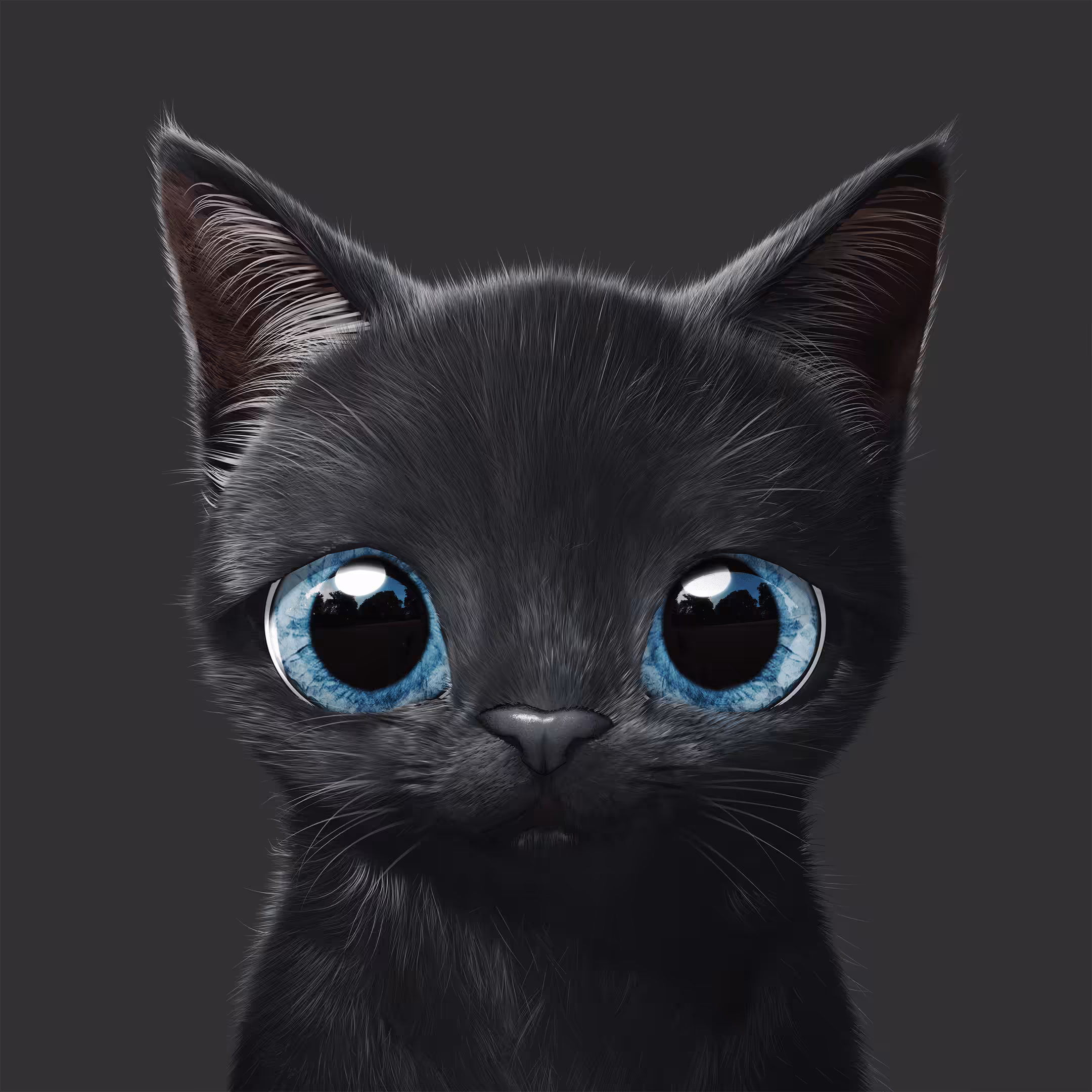 #49 Bomb the Kitten