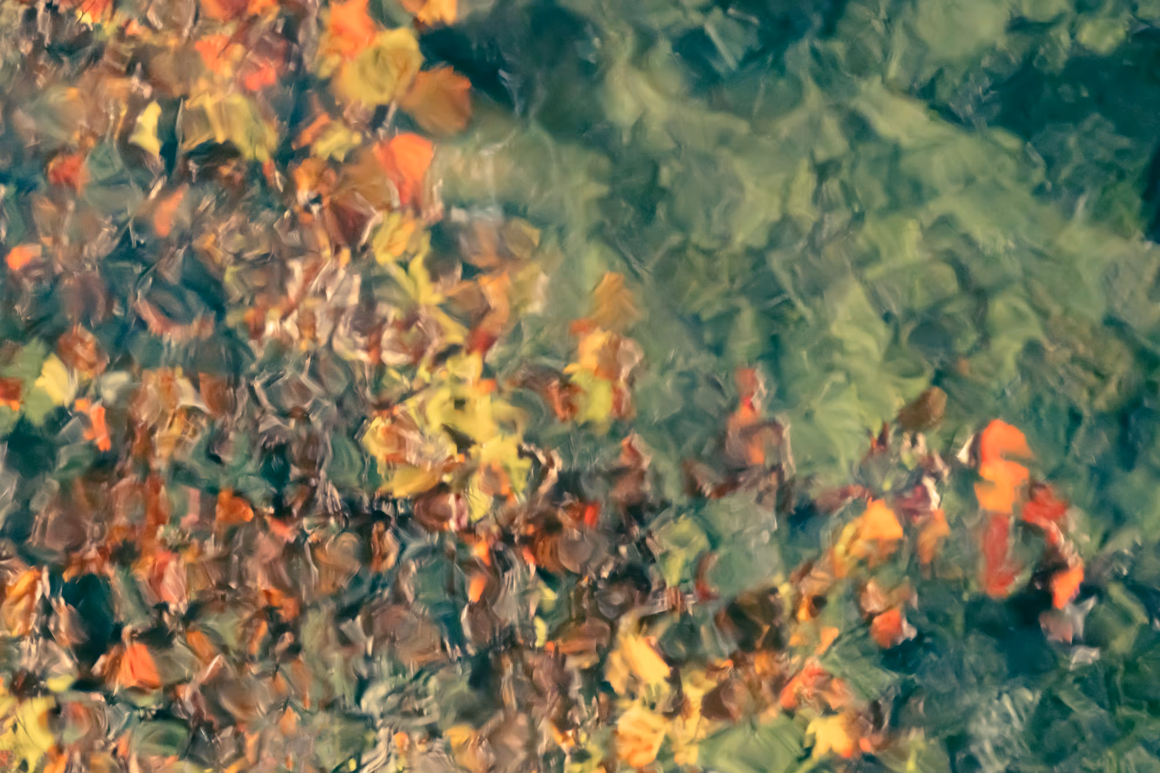 Ebb and Flow #65a