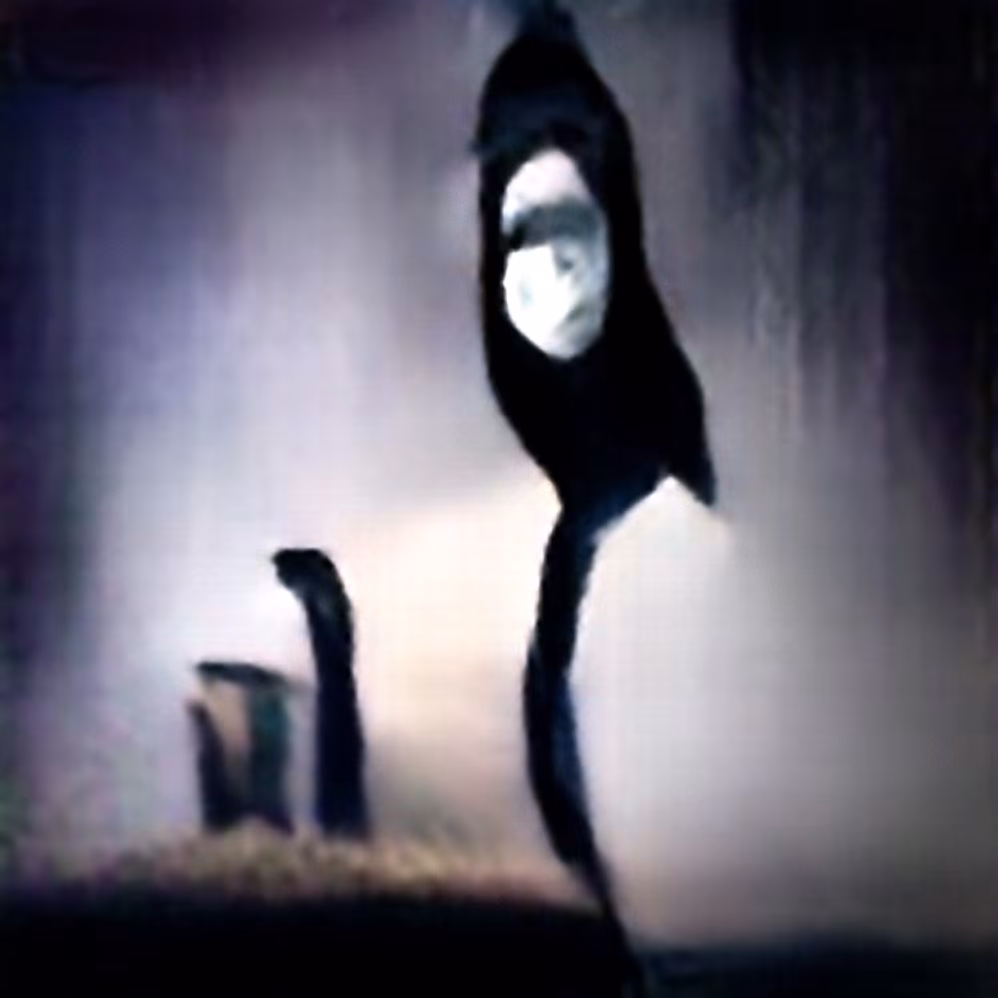 Shadow #13 (Corpus: Things That Exist Negatively)
