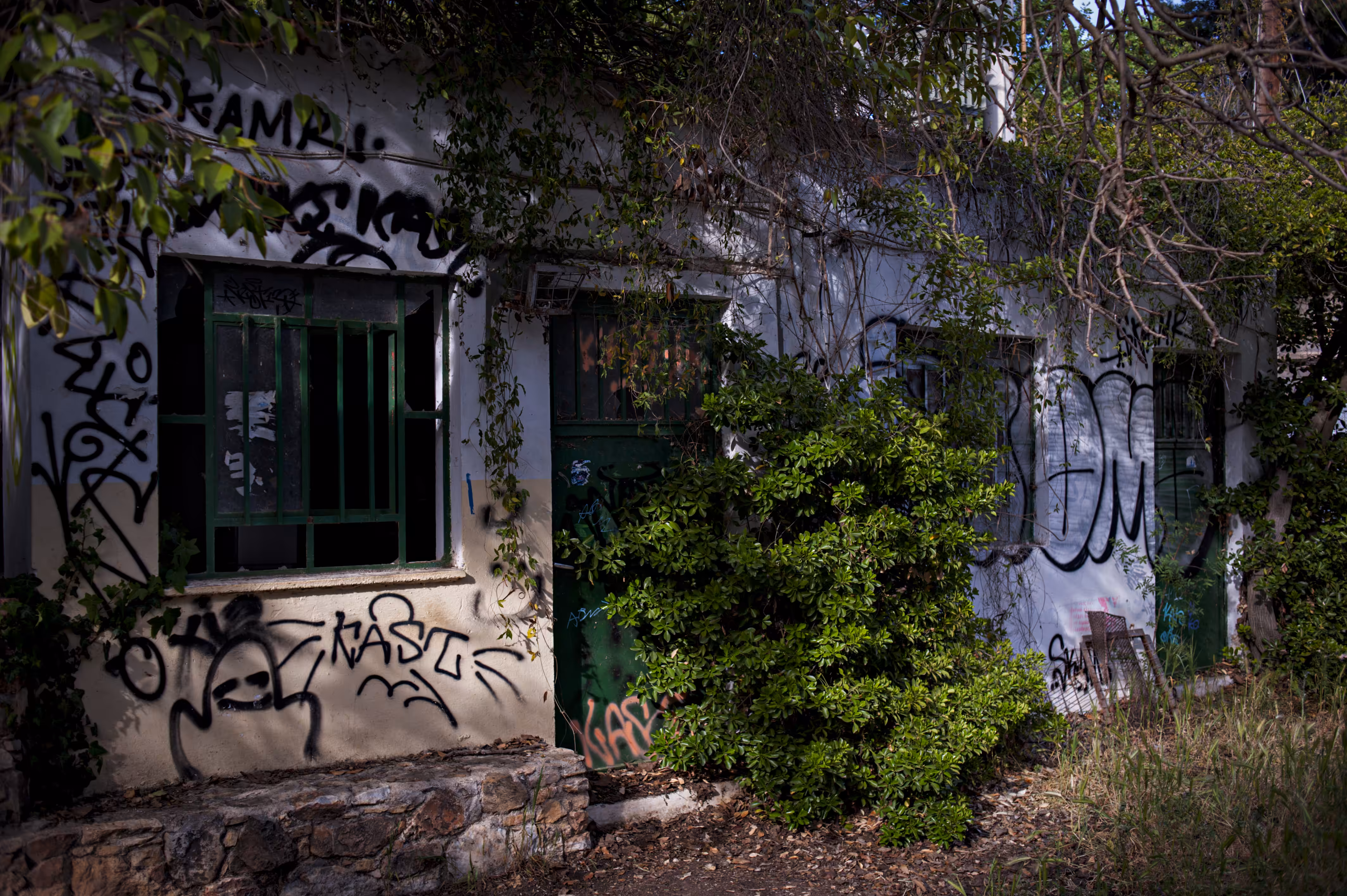The House in the Woods