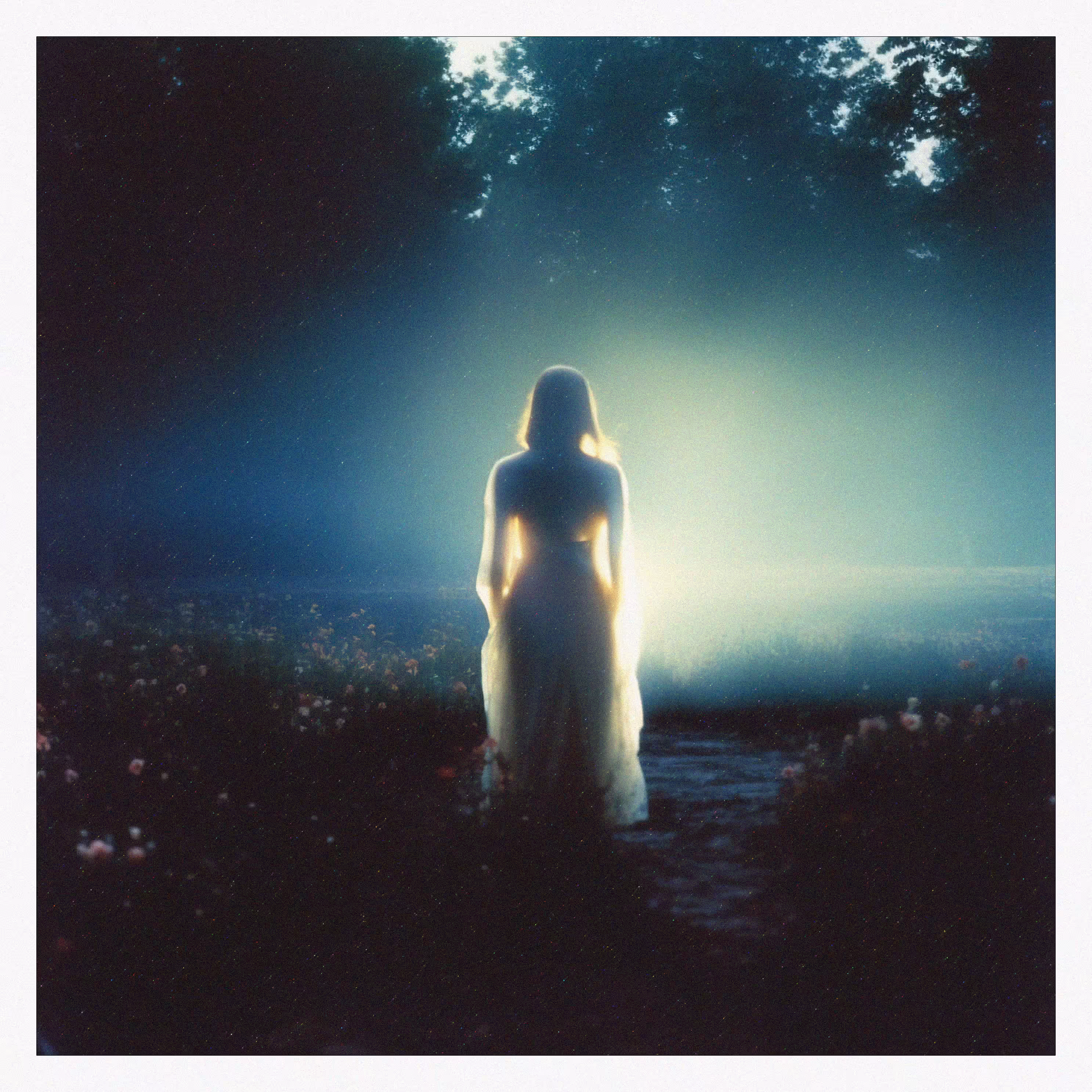 /the path