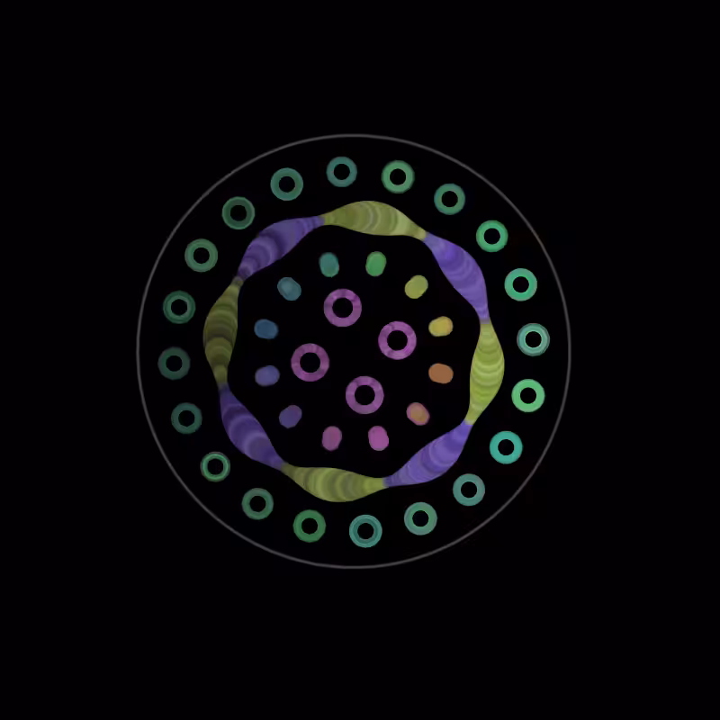 Fluidynamix - Rings #31