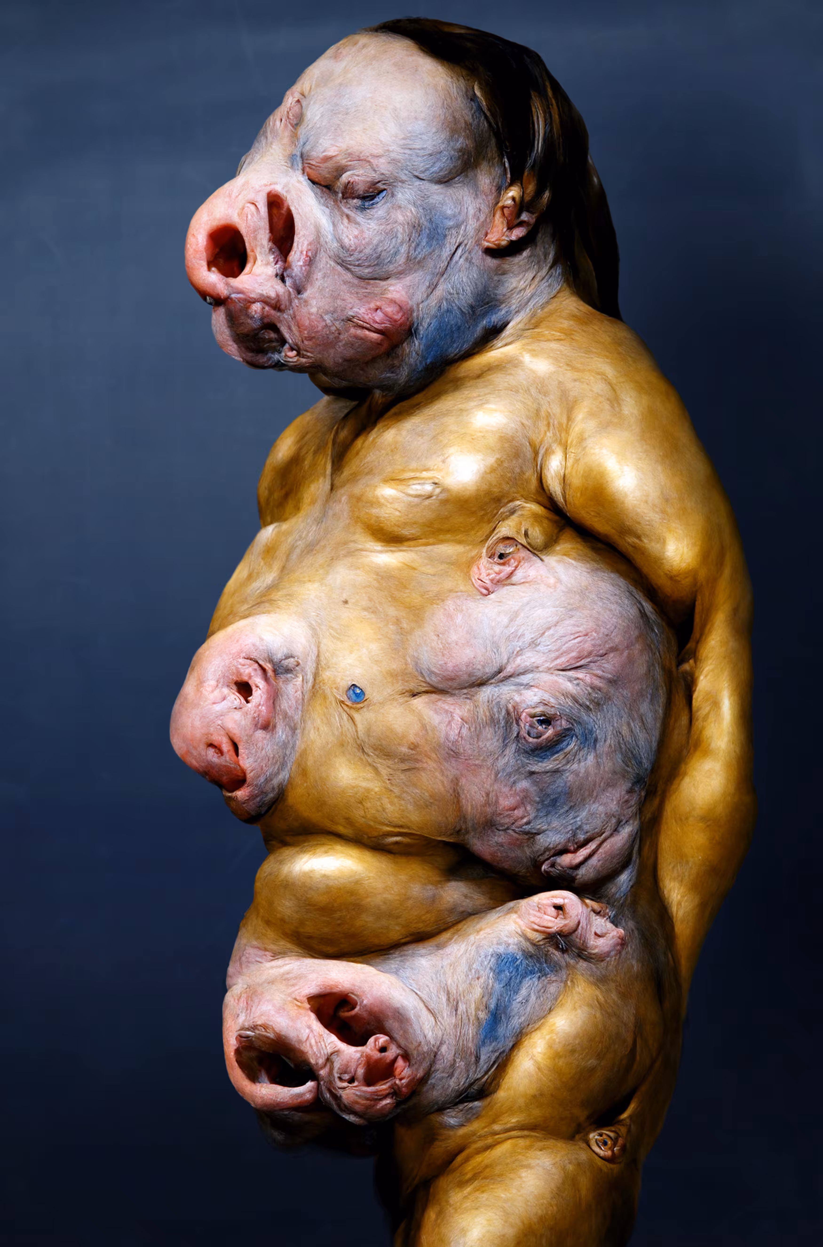 Biomorph #0329_francis