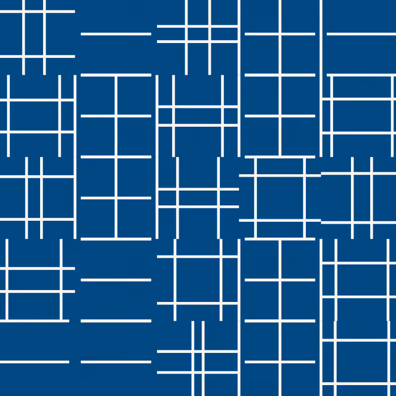 CENTURY-XXX-METAMORELLET #229