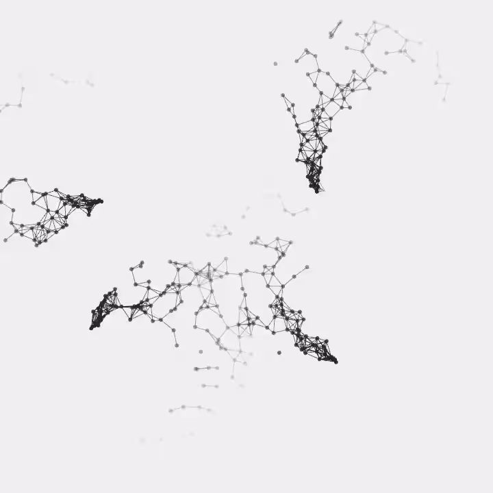 DoodleDeProgramming_20241208