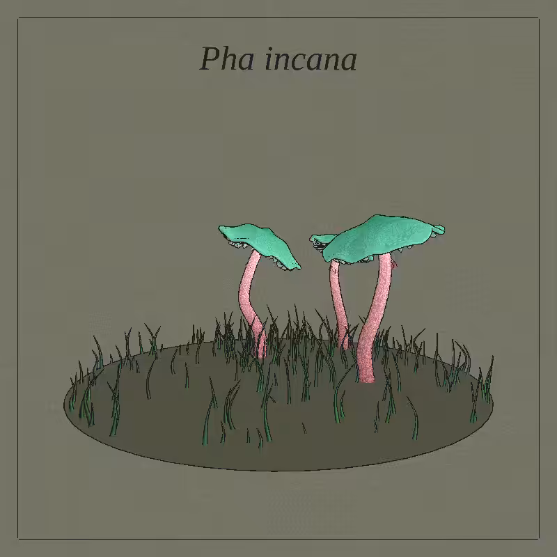 SHROOMS 3D #11
