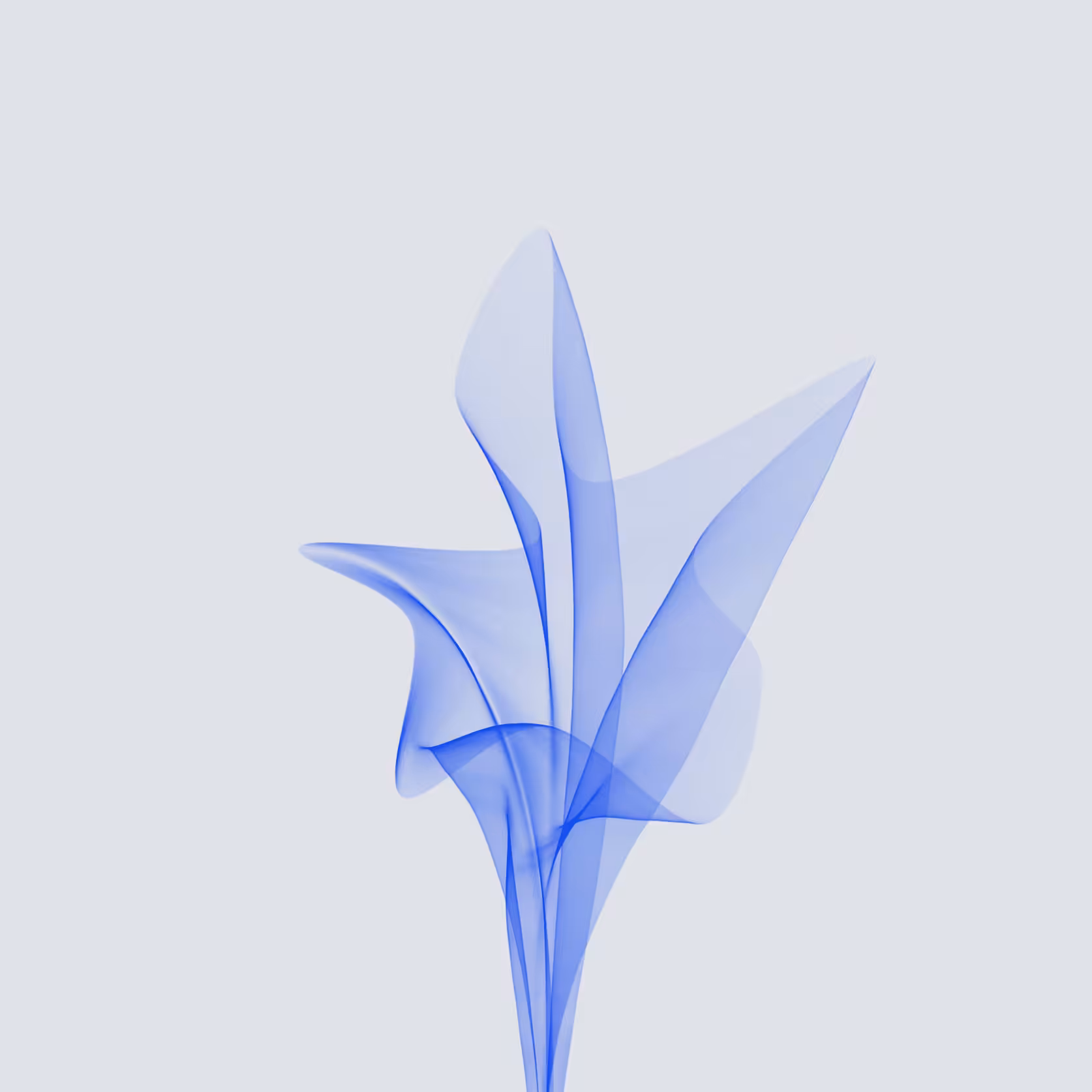 Silken — The Flower
