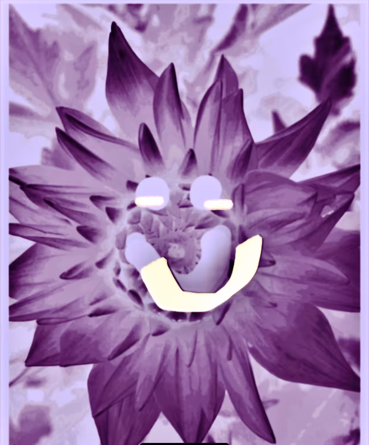 Super chill dahlia ghost flower