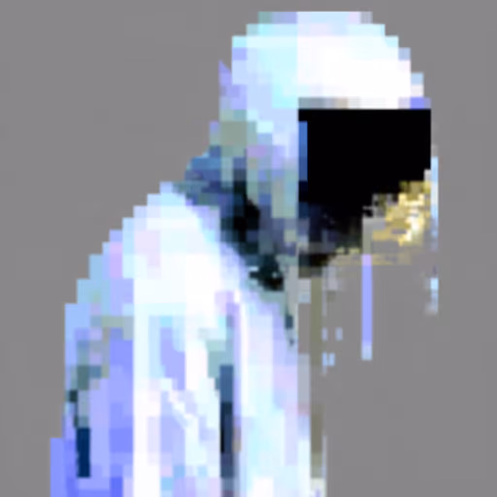 𝔢𝔳𝔞𝔡𝔢𝔯 6841