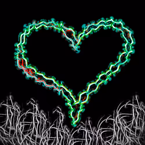 Spread the Neon Love