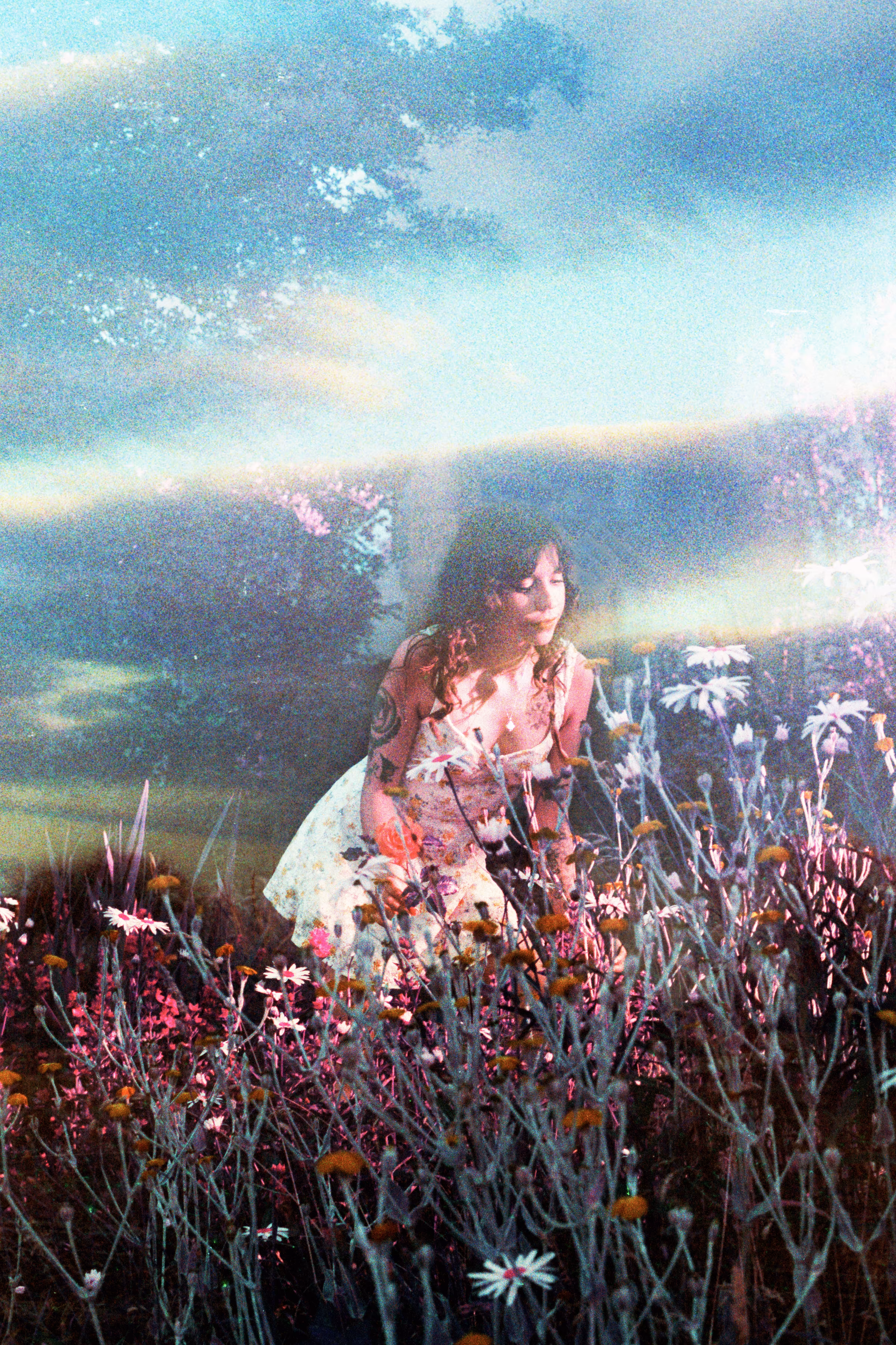 Last Summer’s Daydream