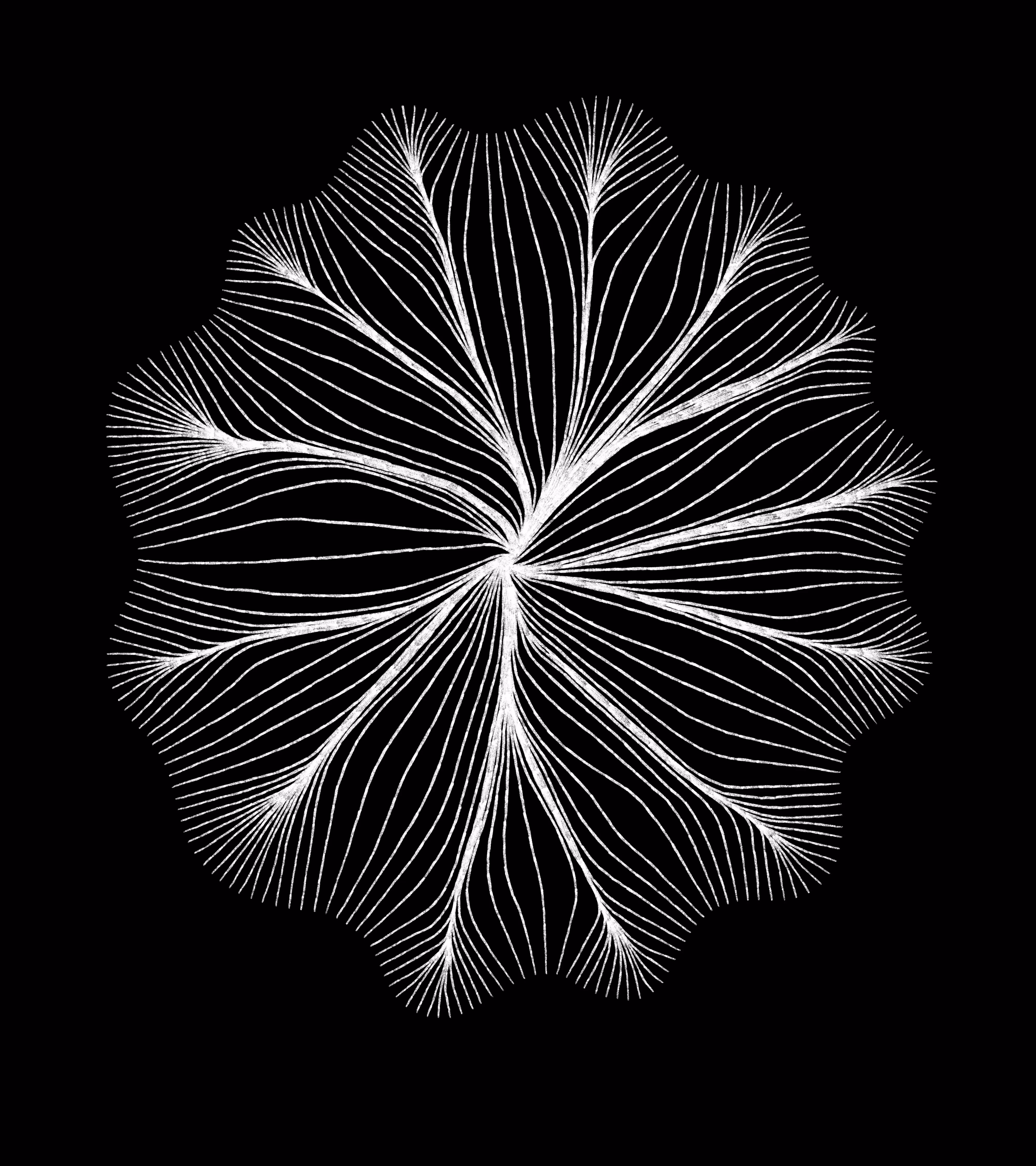 Vergence 1