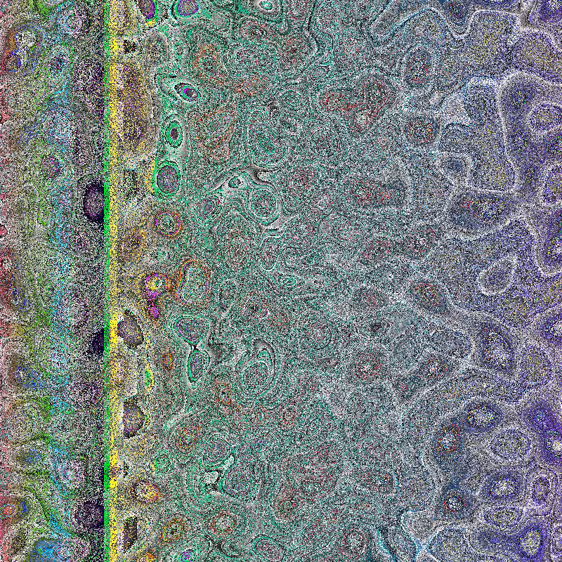 Bacteria Scanner #43