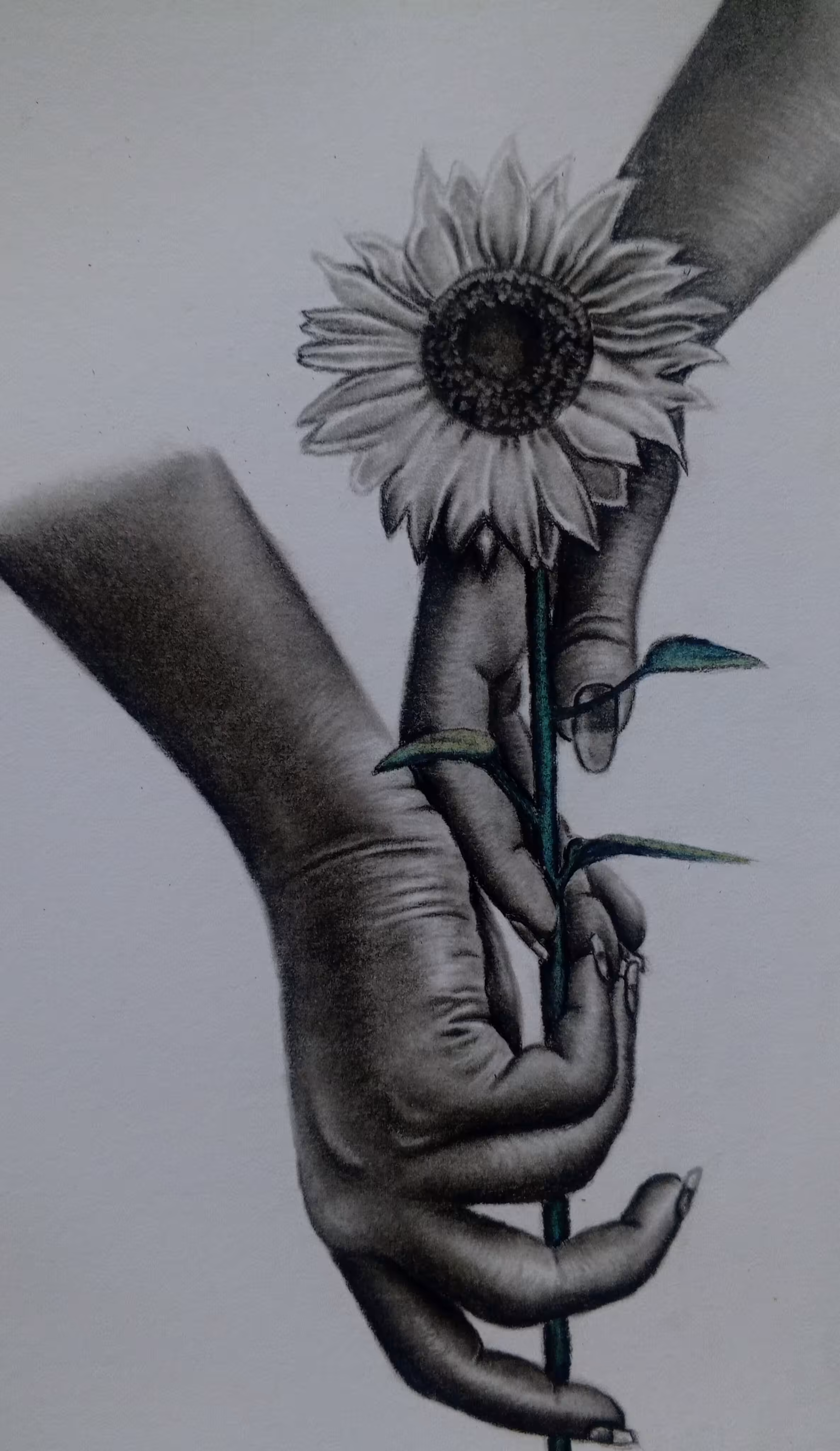 SYMBOL OF HOPE  