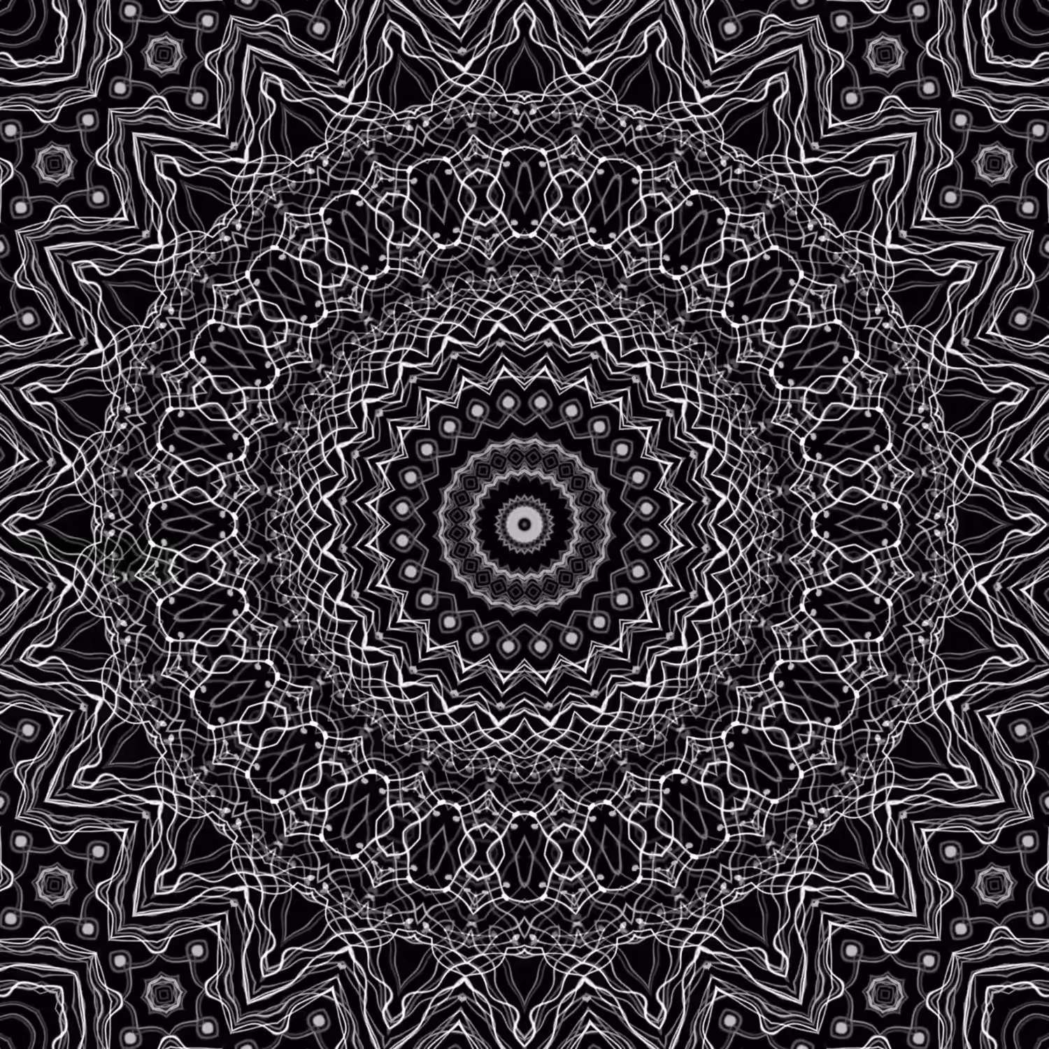orbital warp 31