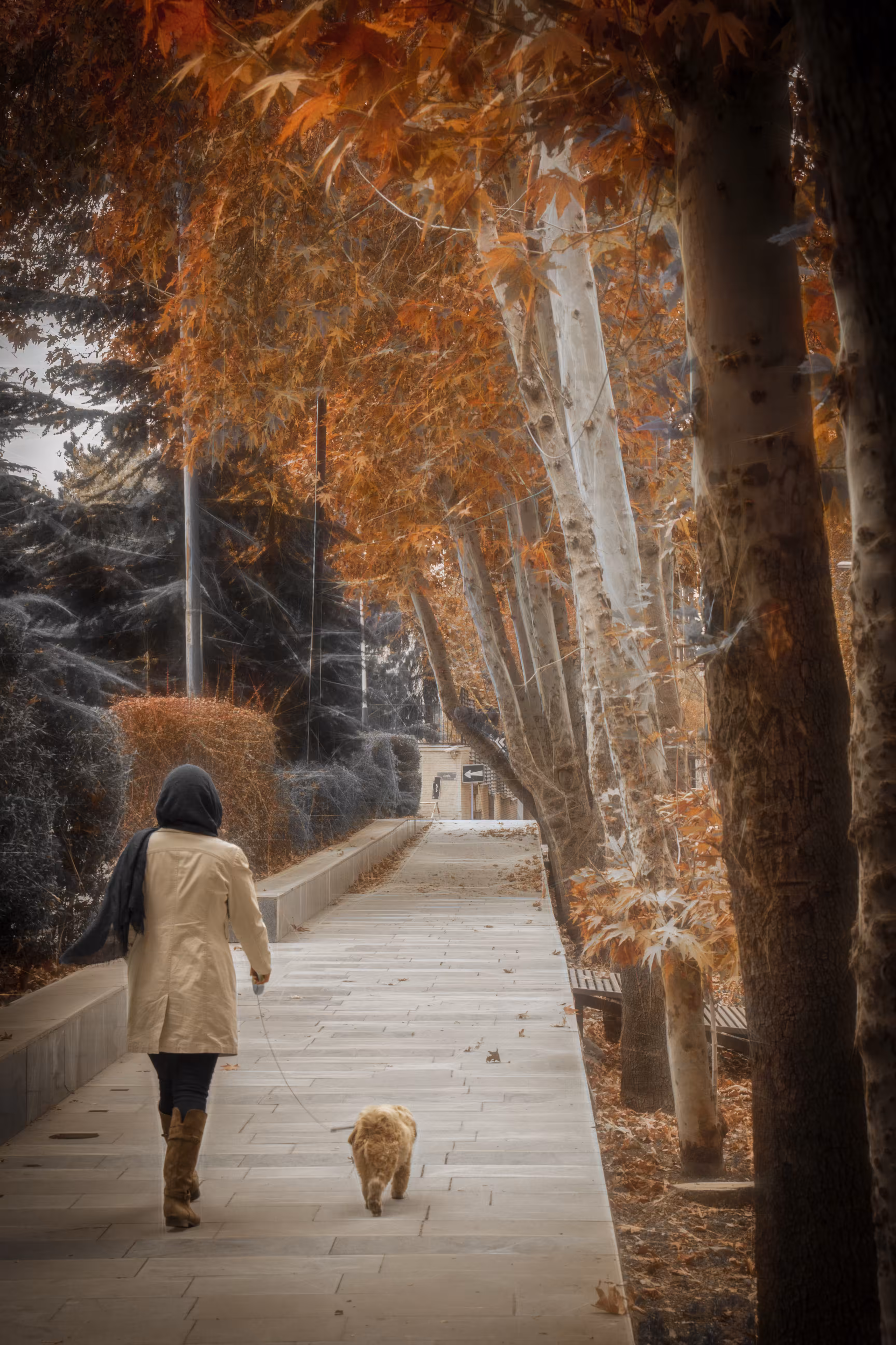 PeoplE: Woman, Dog and Autumn