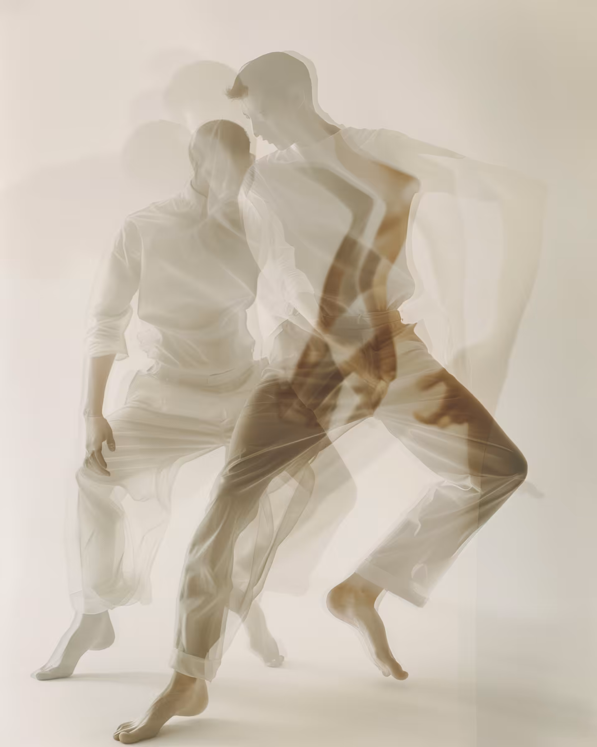 𝐙𝐒 #254