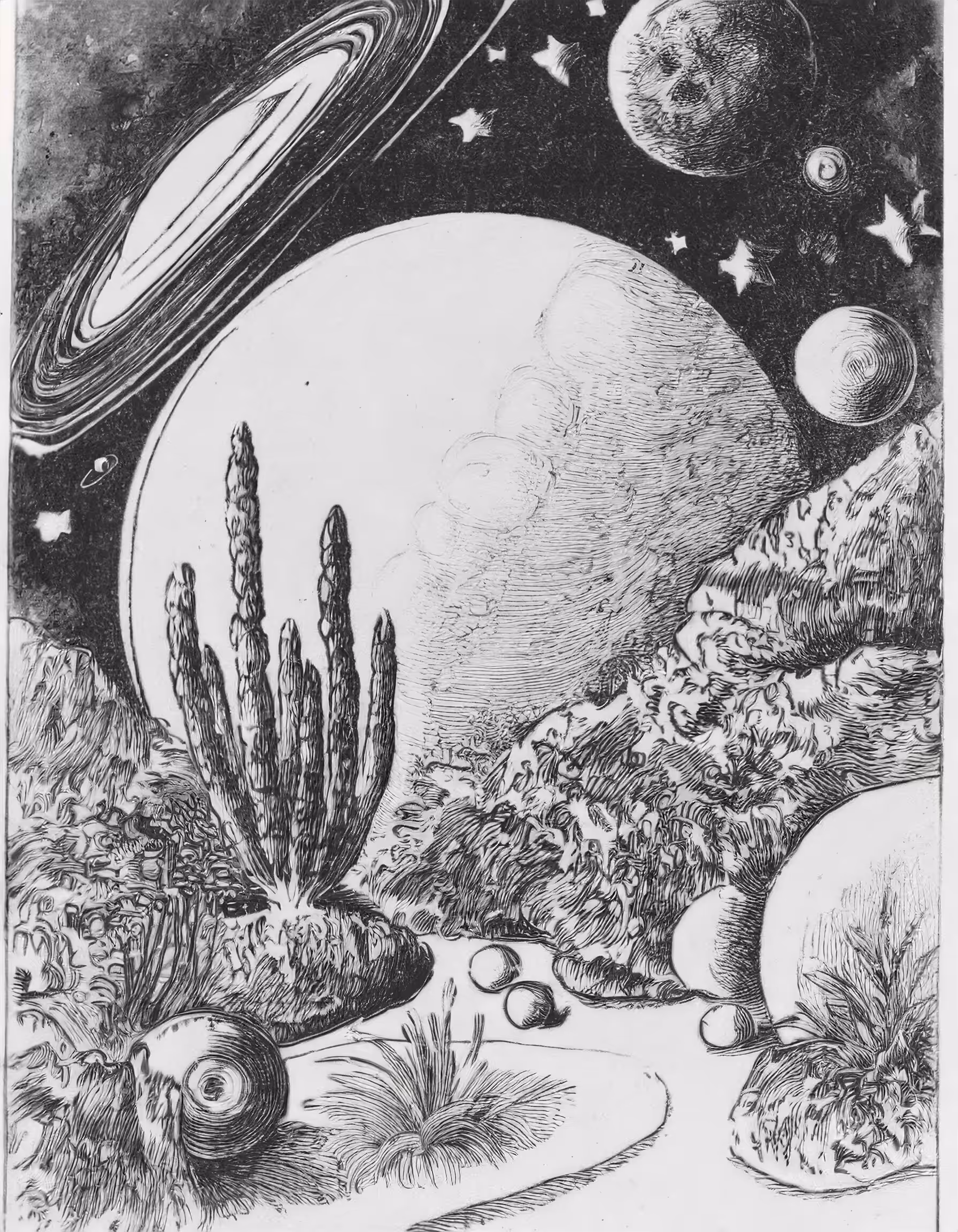 Boundless Space Garden