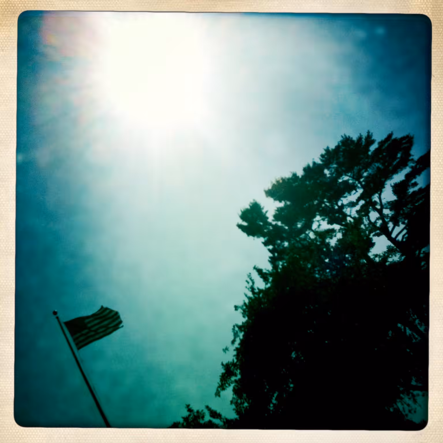 hipsta: IMG_3929