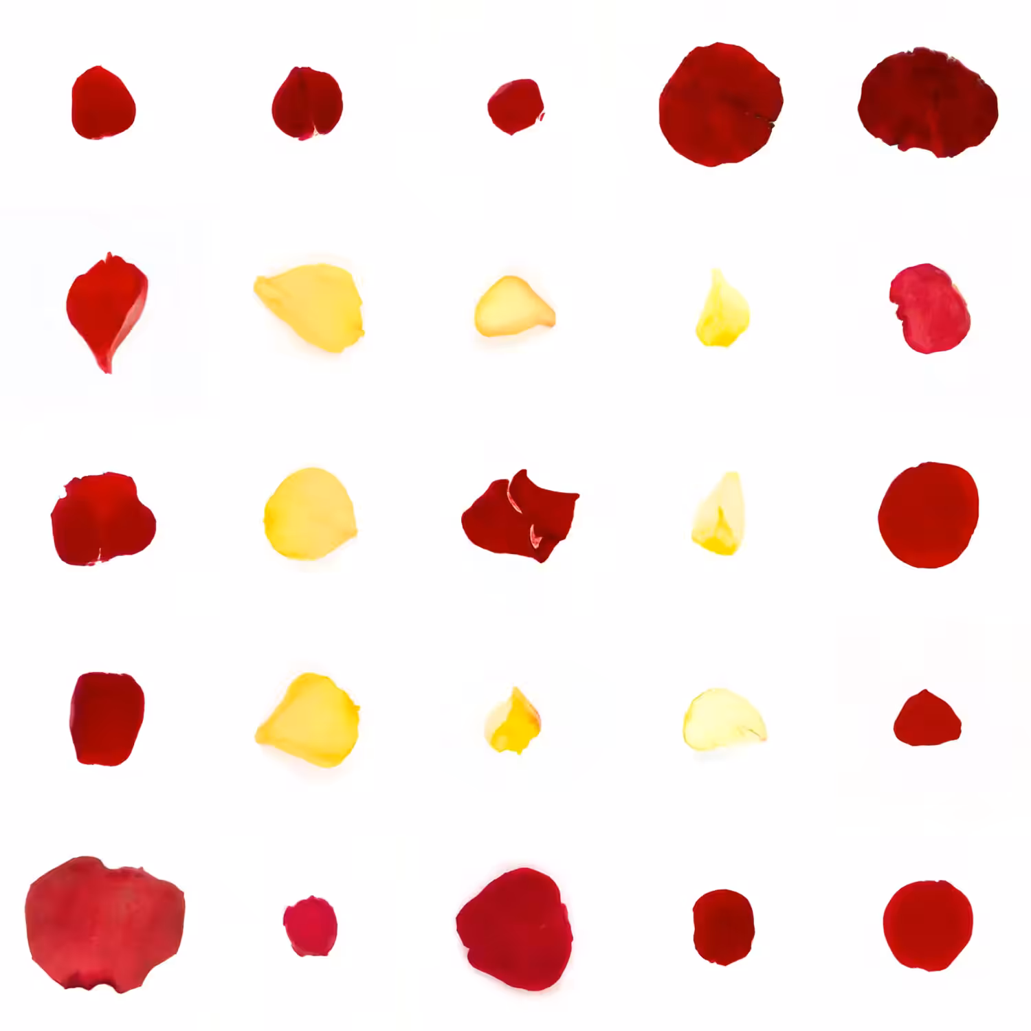 Infinite Petals 5x5#20339