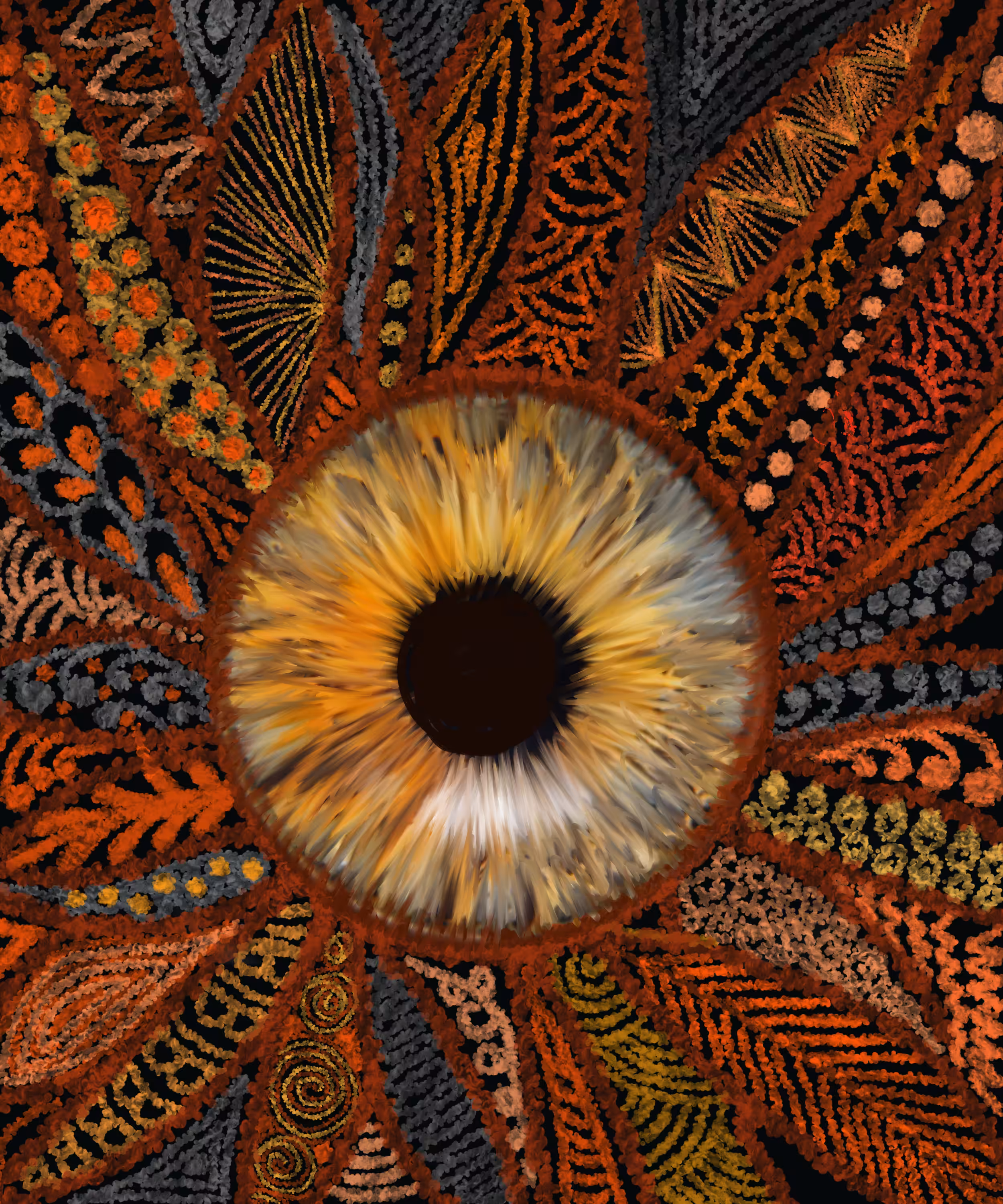 The eye