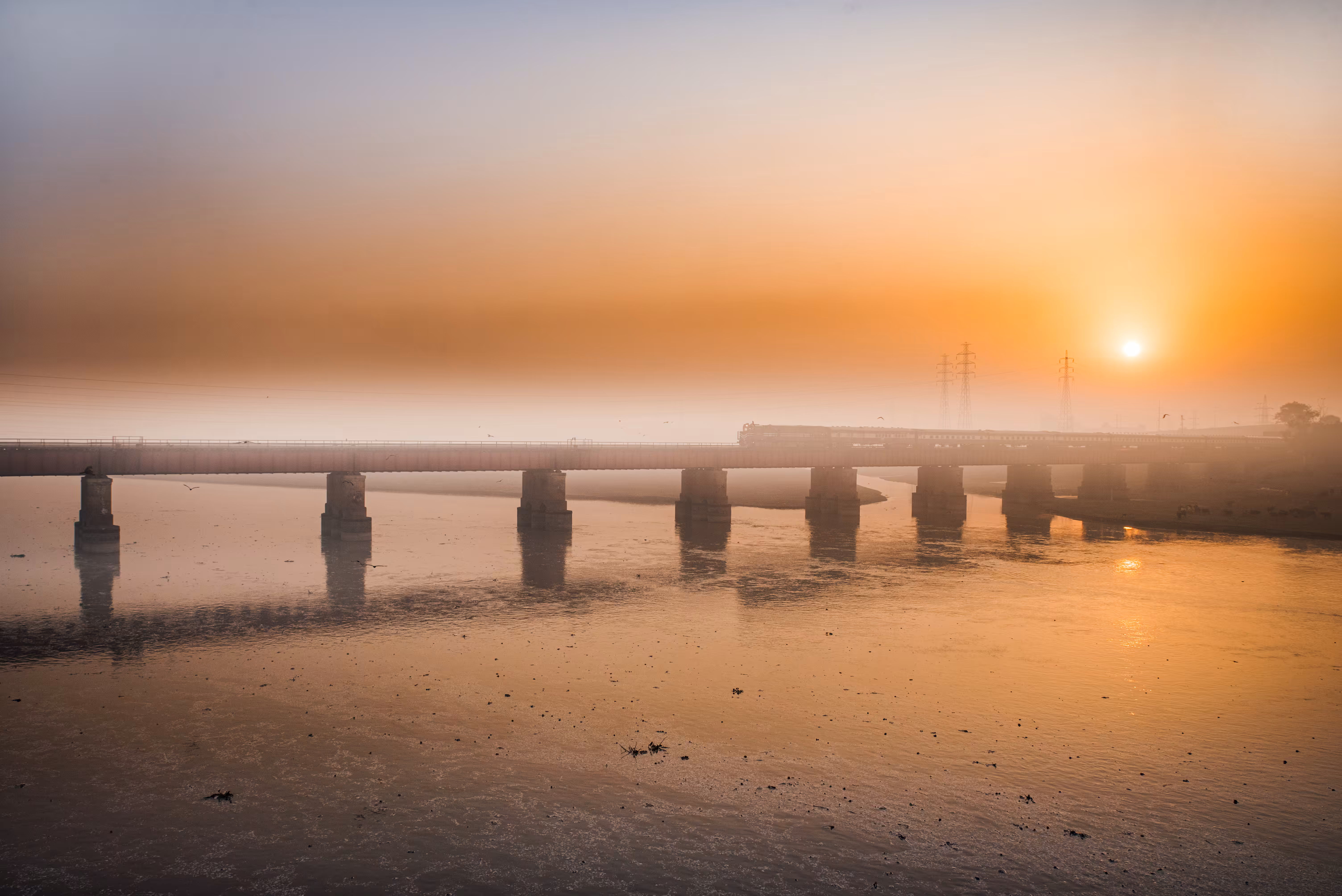Winter Morning at Riverside