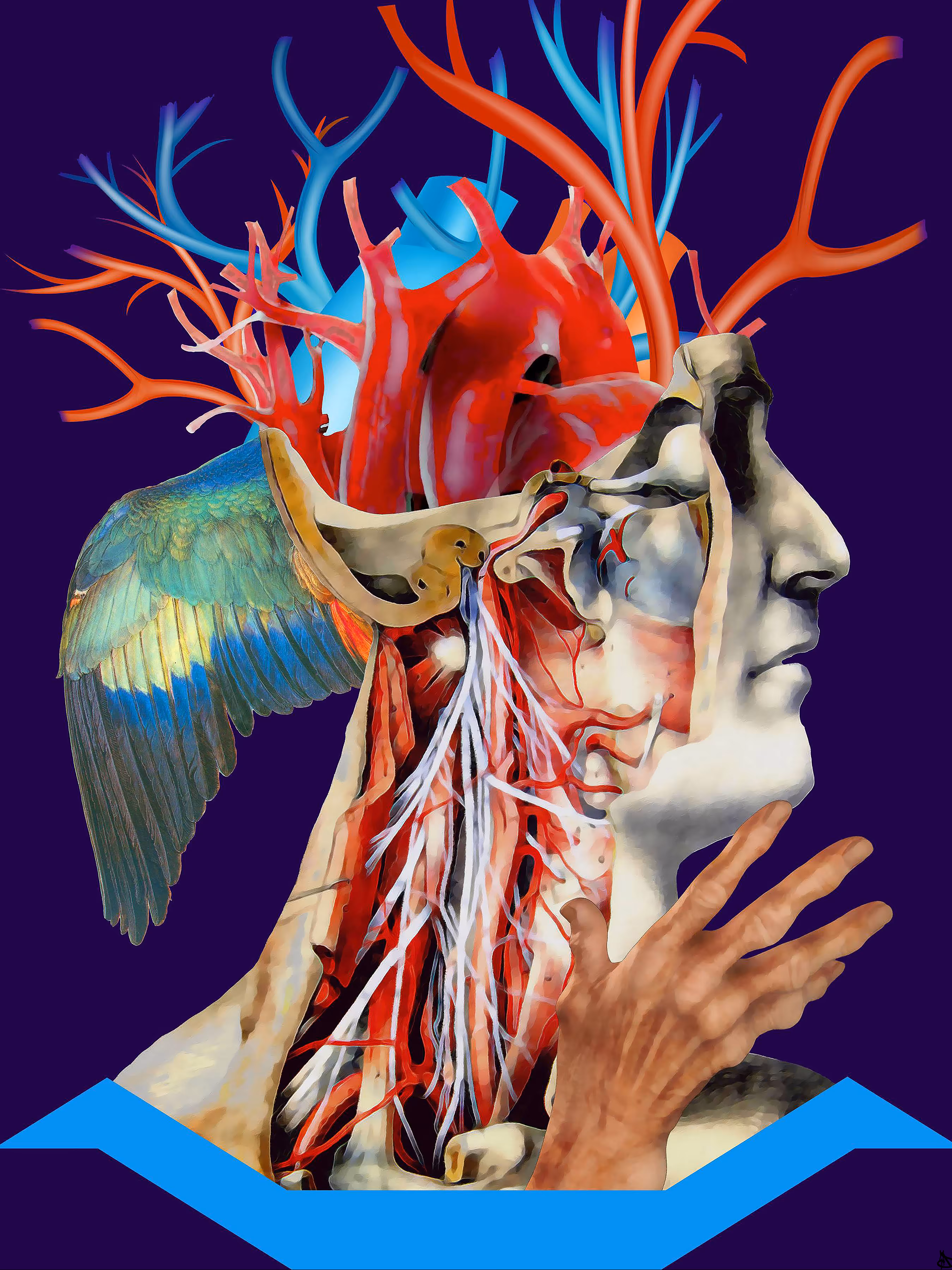 Your Heart Is In Your Head