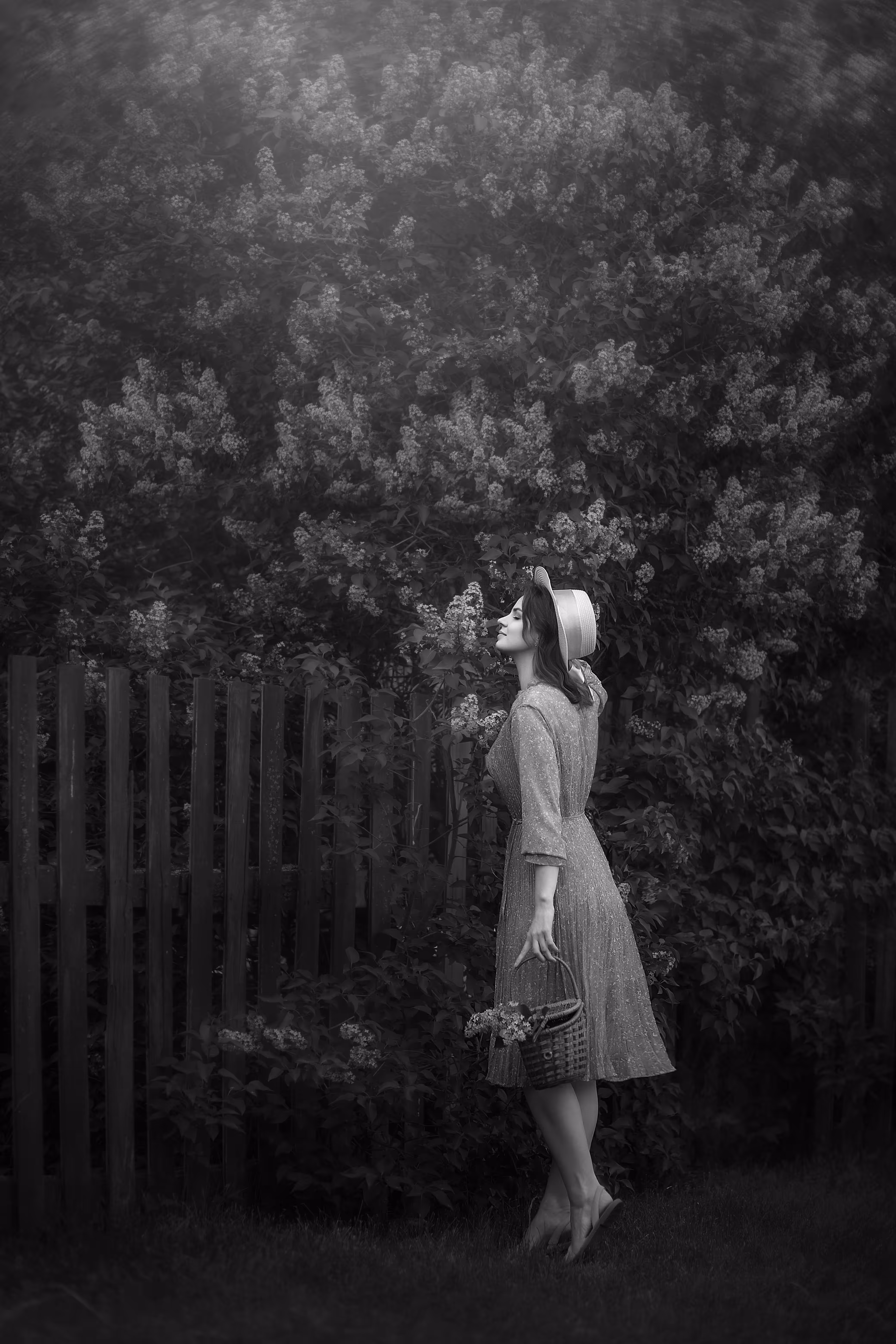 Lilac evening