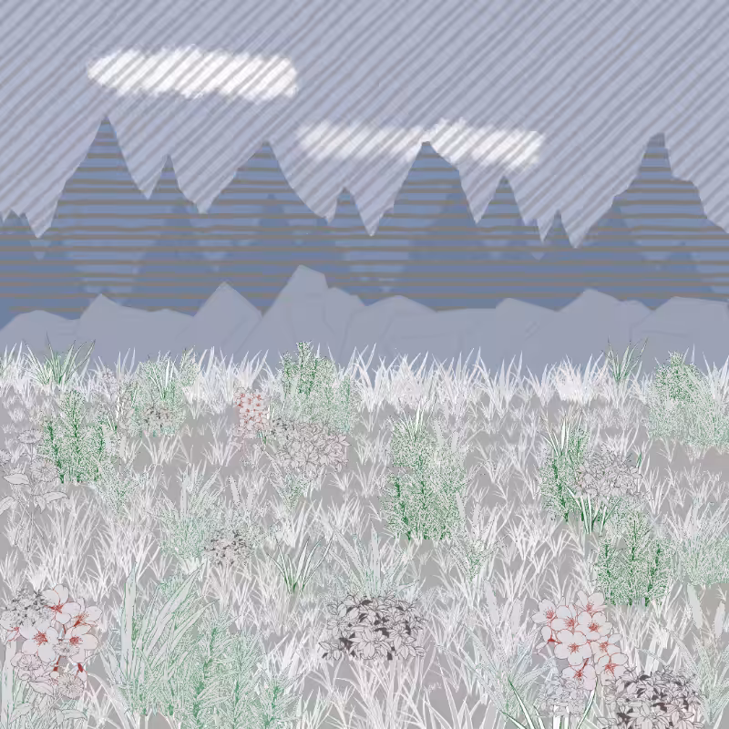 Mountain Meadows #19