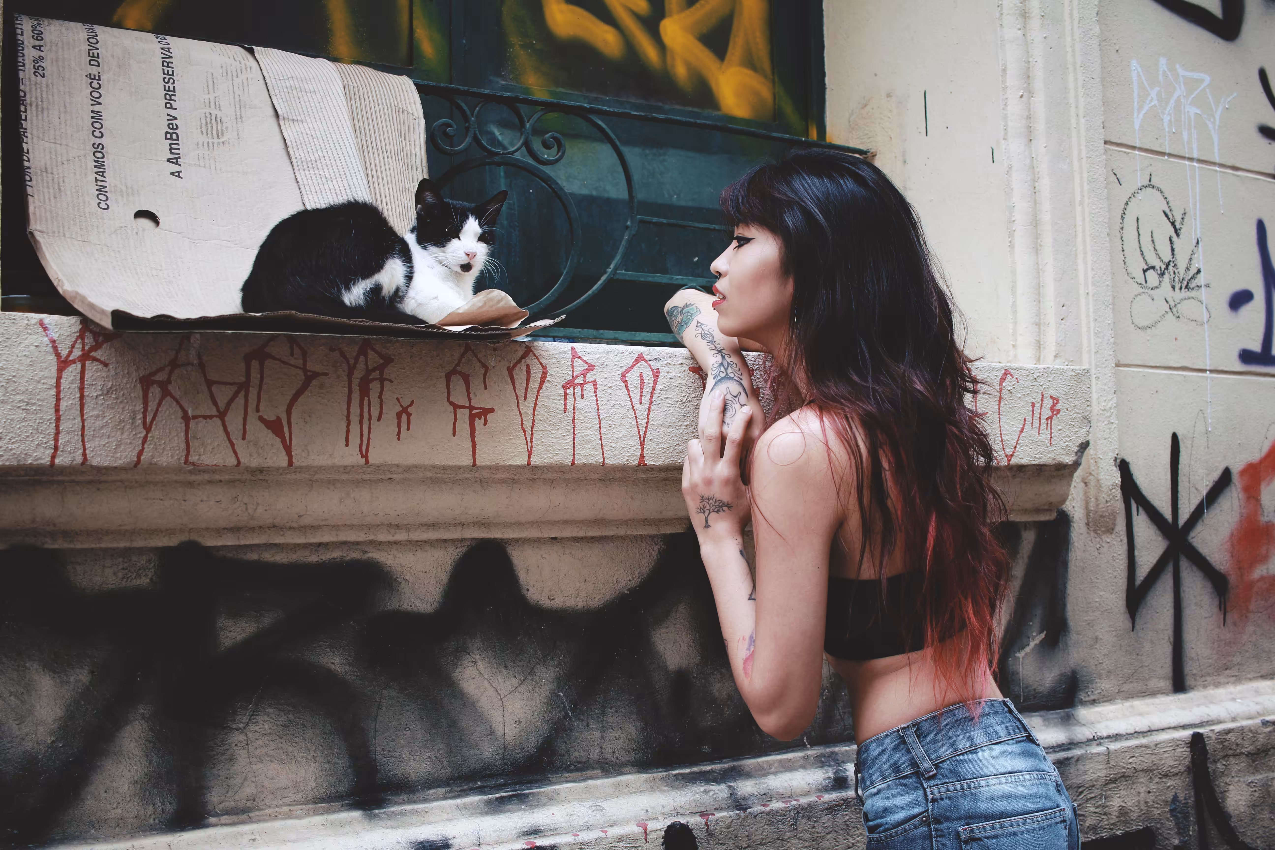 Heeey kitty kitty