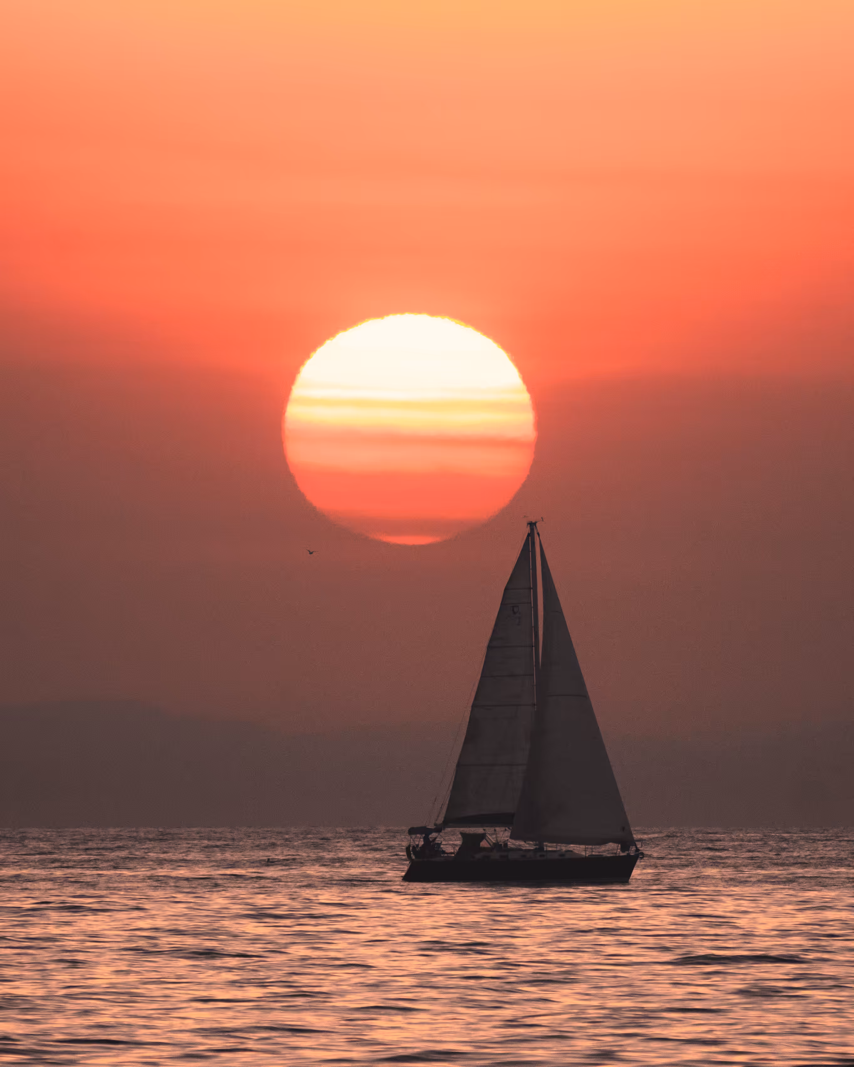 #42: Sunlit Sail
