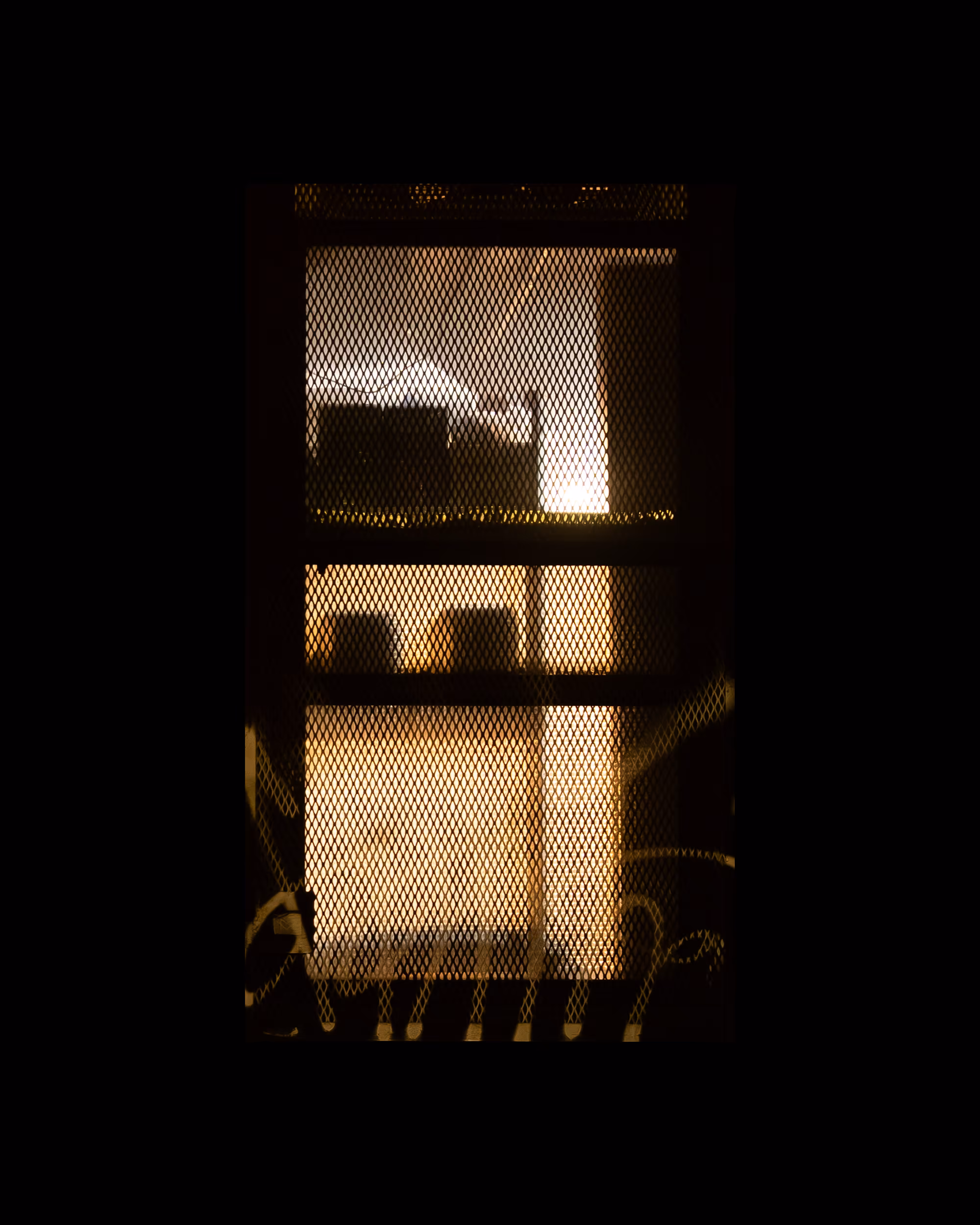WINDOWS // NYC: WINDOW 252
