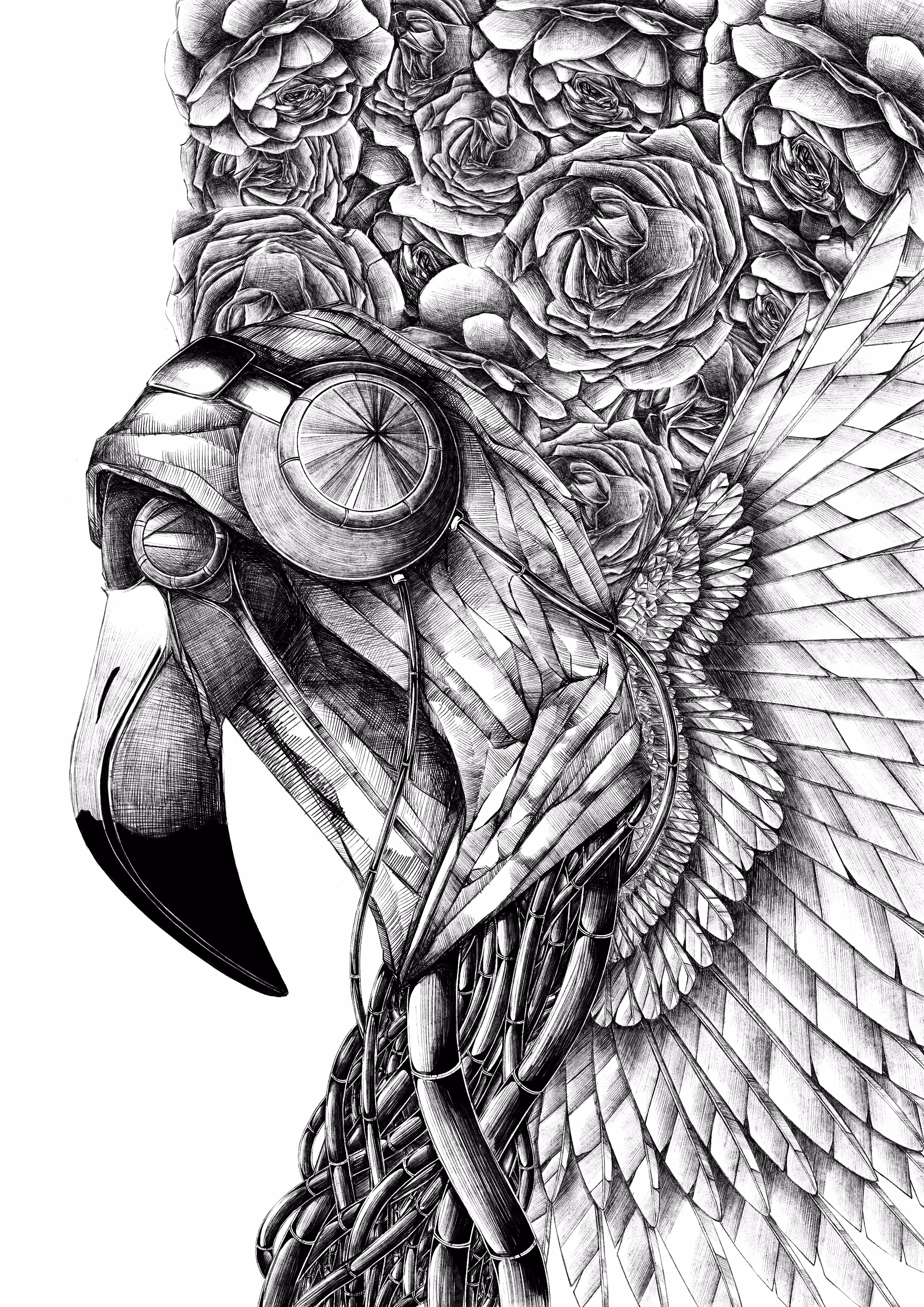 WAKA's Illustration: Flamingo【線画】