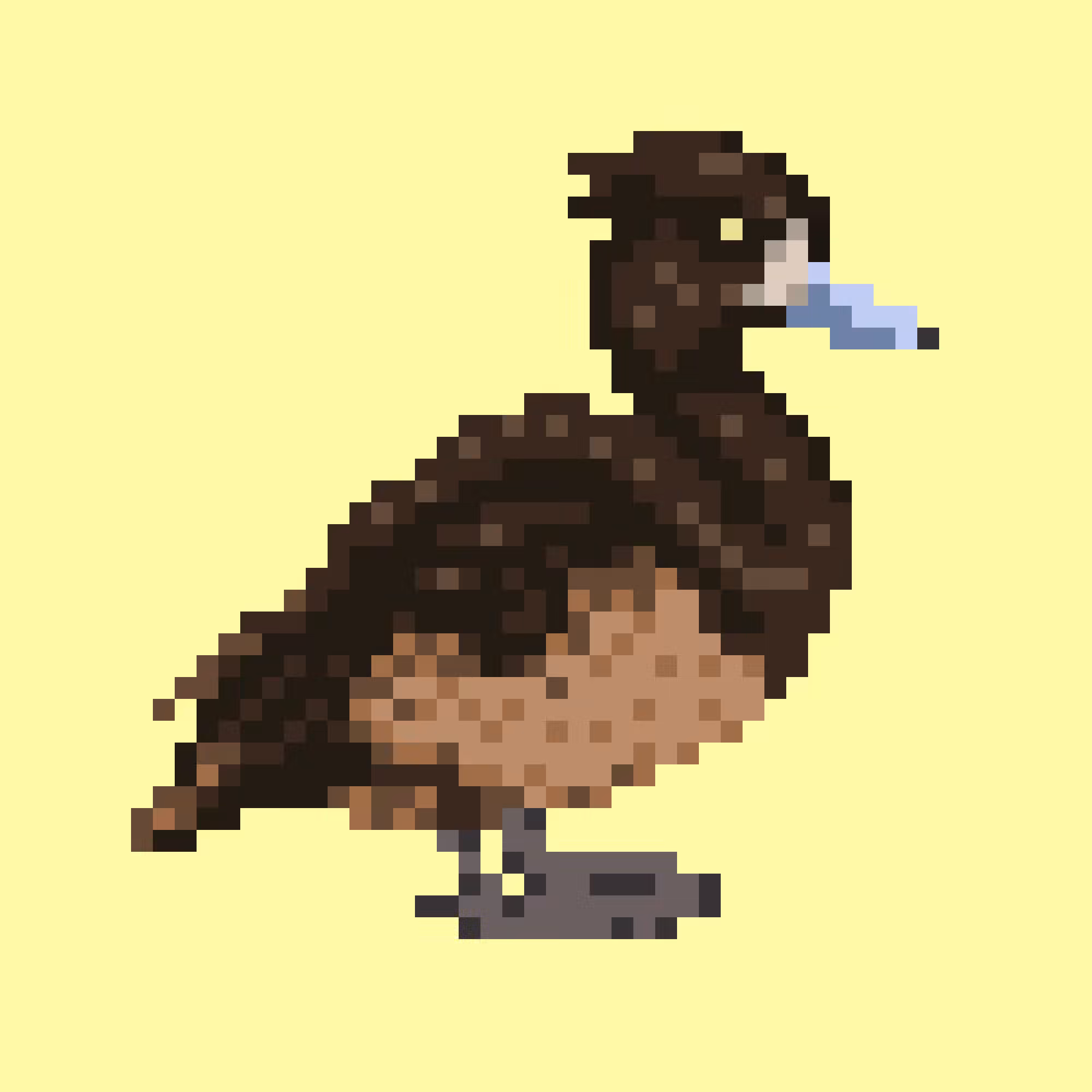 Tufted Duck (F)