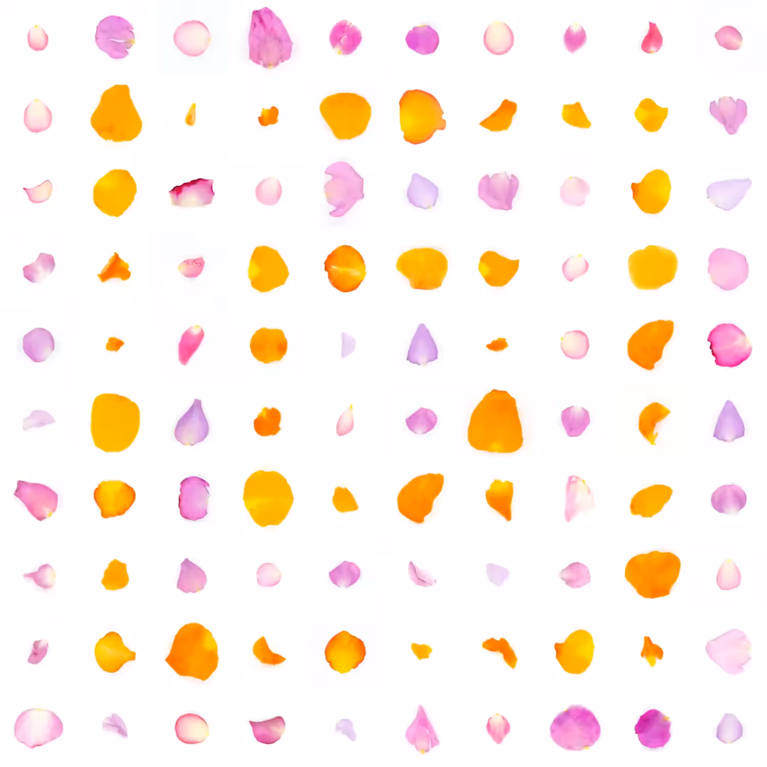 Infinite Petals 10x10#654