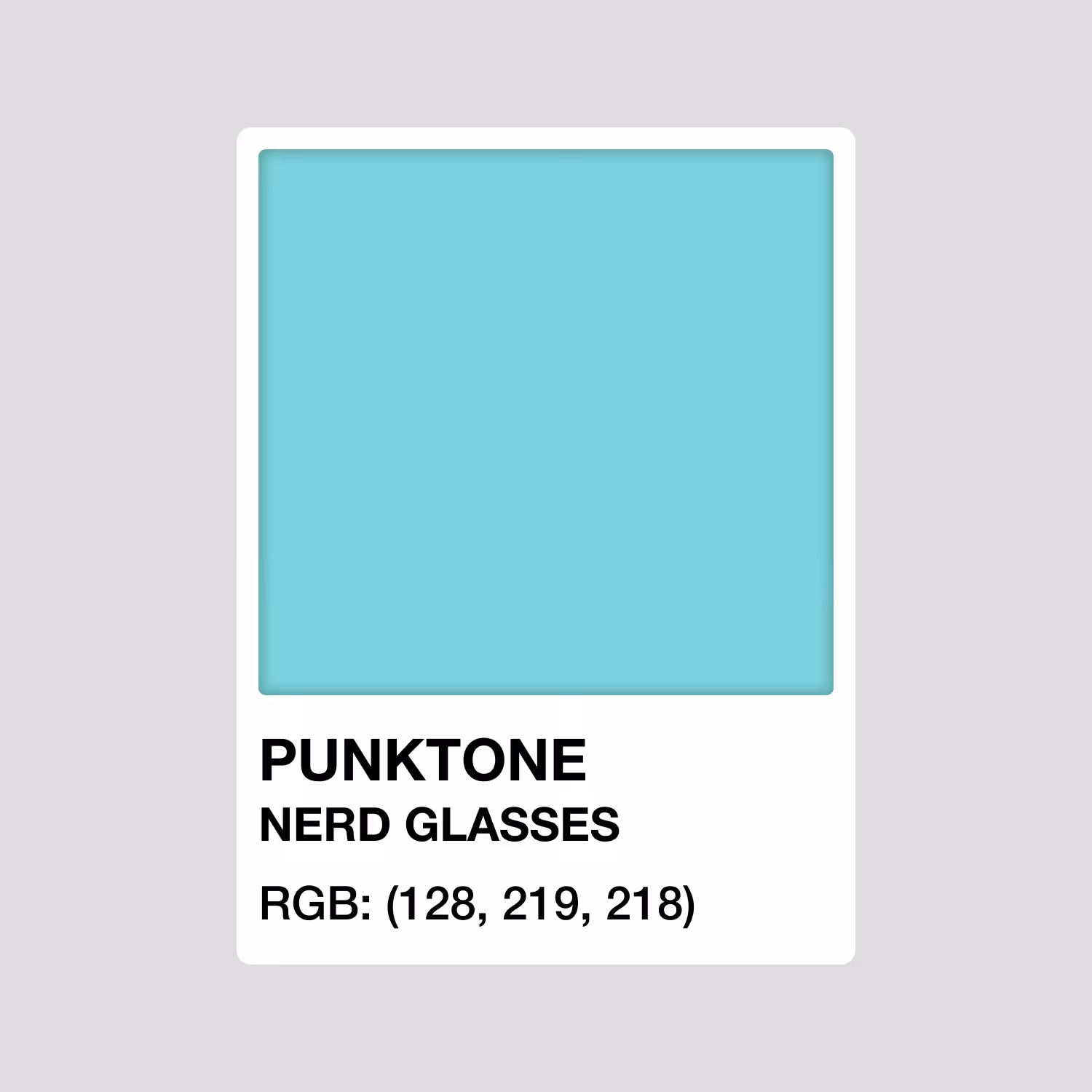 PUNKTONE NERD GLASSES