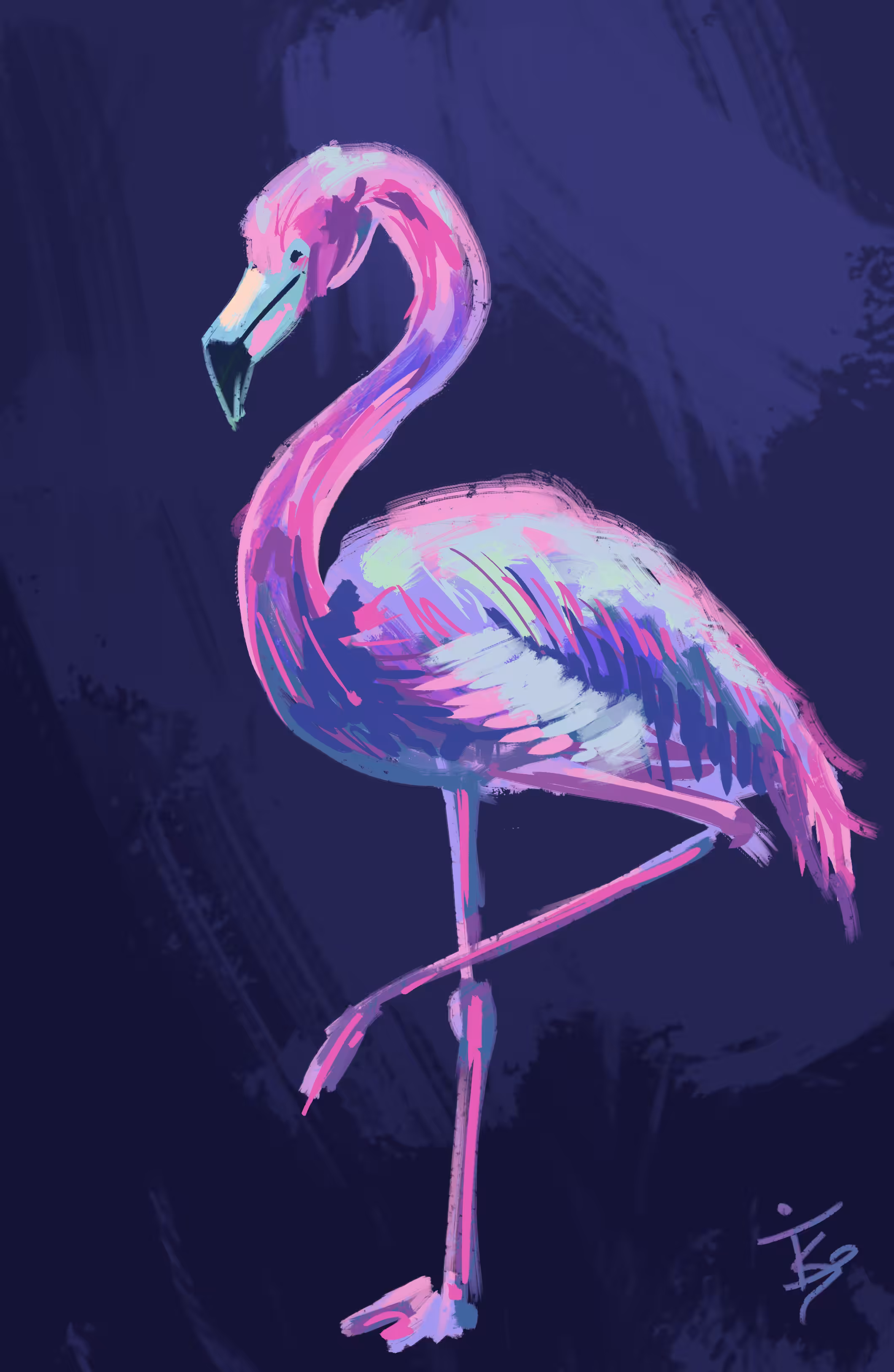 Flamingo