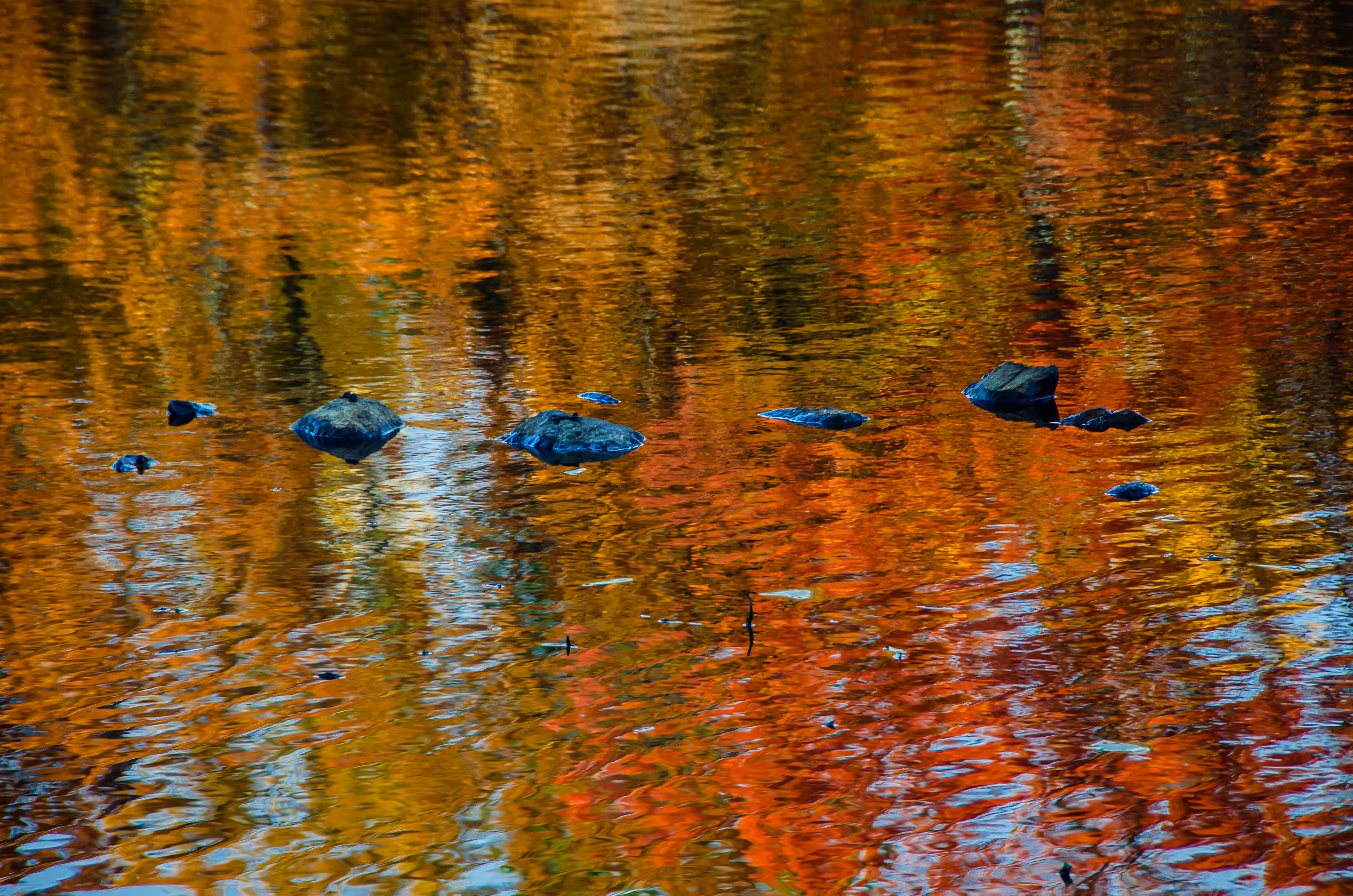 Stepping Stones