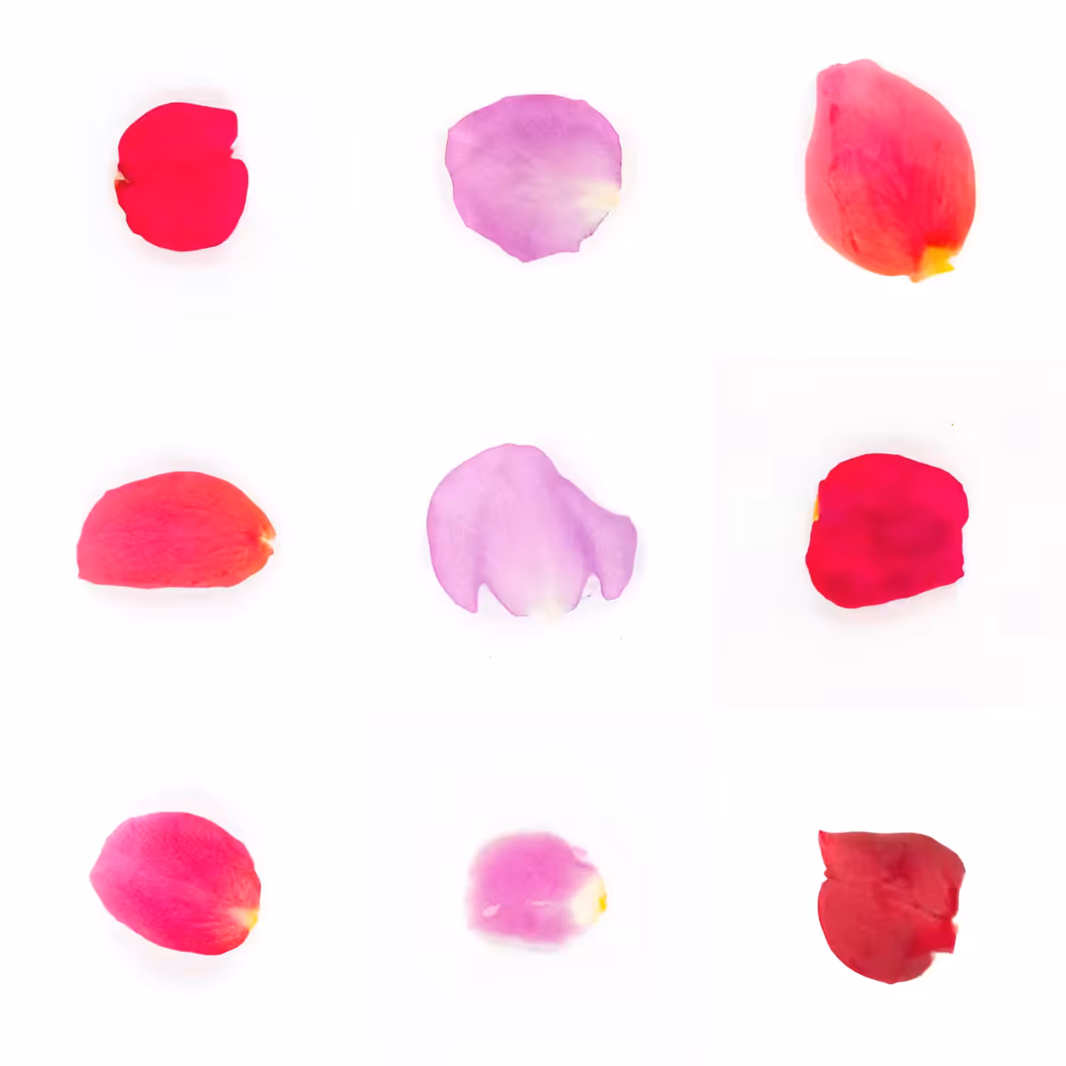 Infinite Petals 3x3#3656