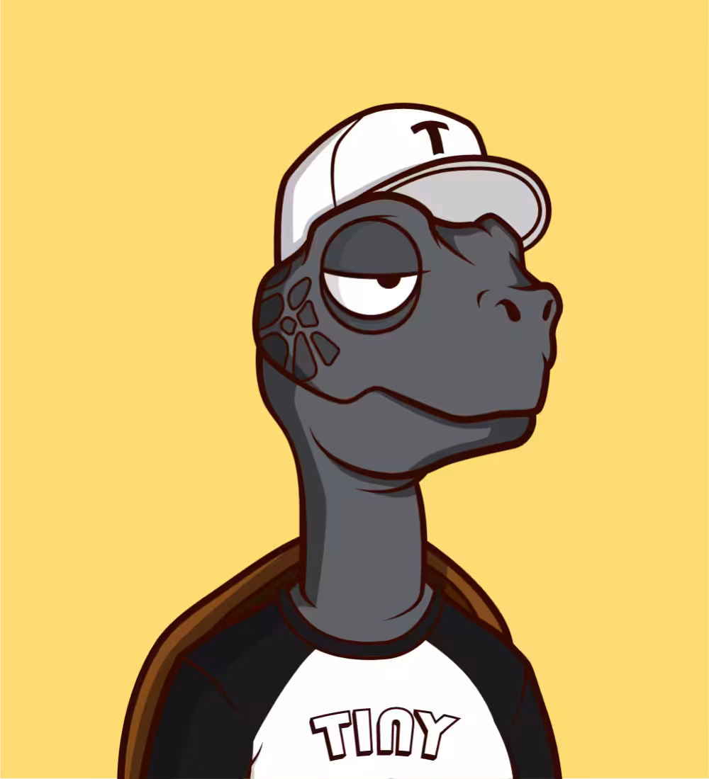 Tiny Turtle 168